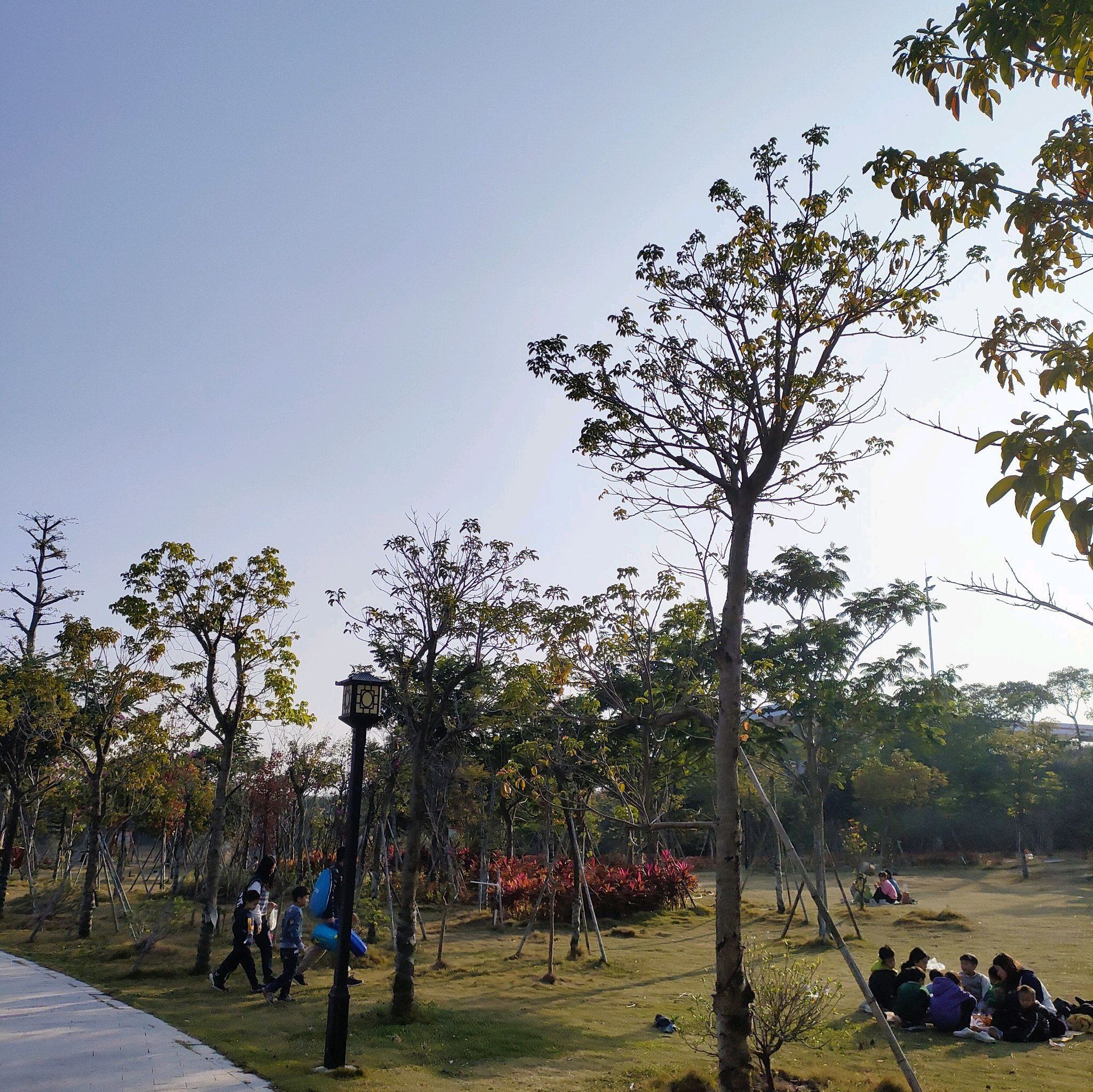 惠园公园旅行图片 1