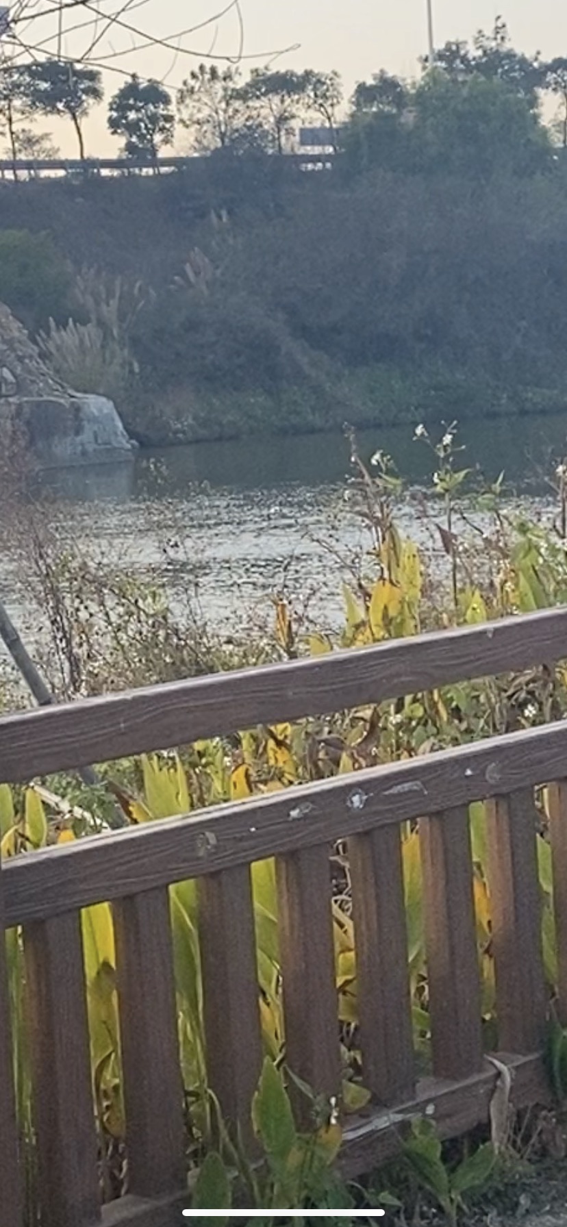 惠园公园旅行图片 3