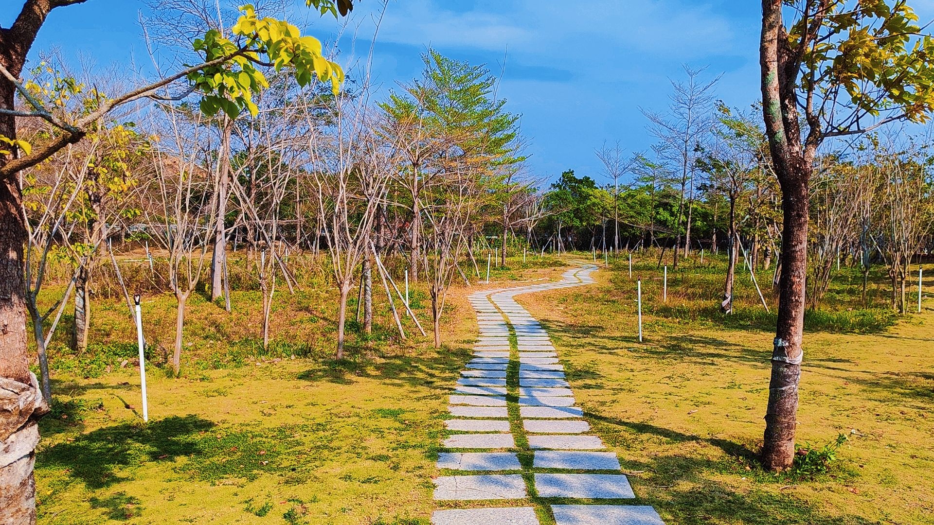 惠园公园旅行图片 2