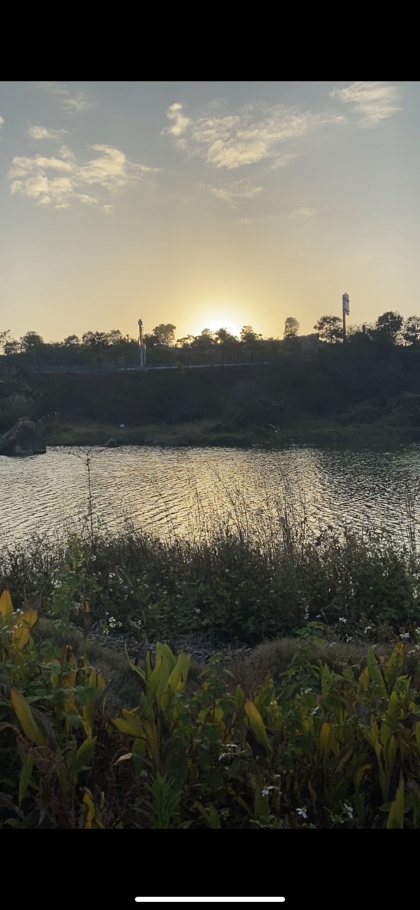 惠园公园旅行图片 2