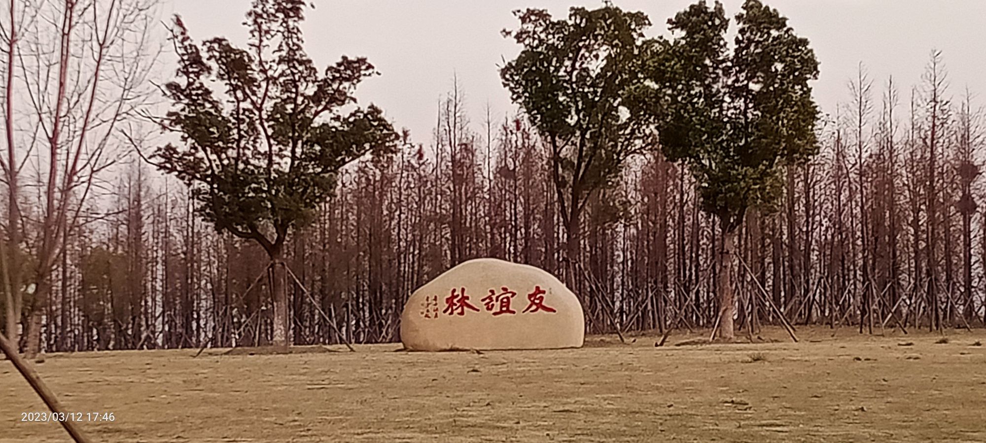 张家港保税区江海交汇第一湾旅行图片 2