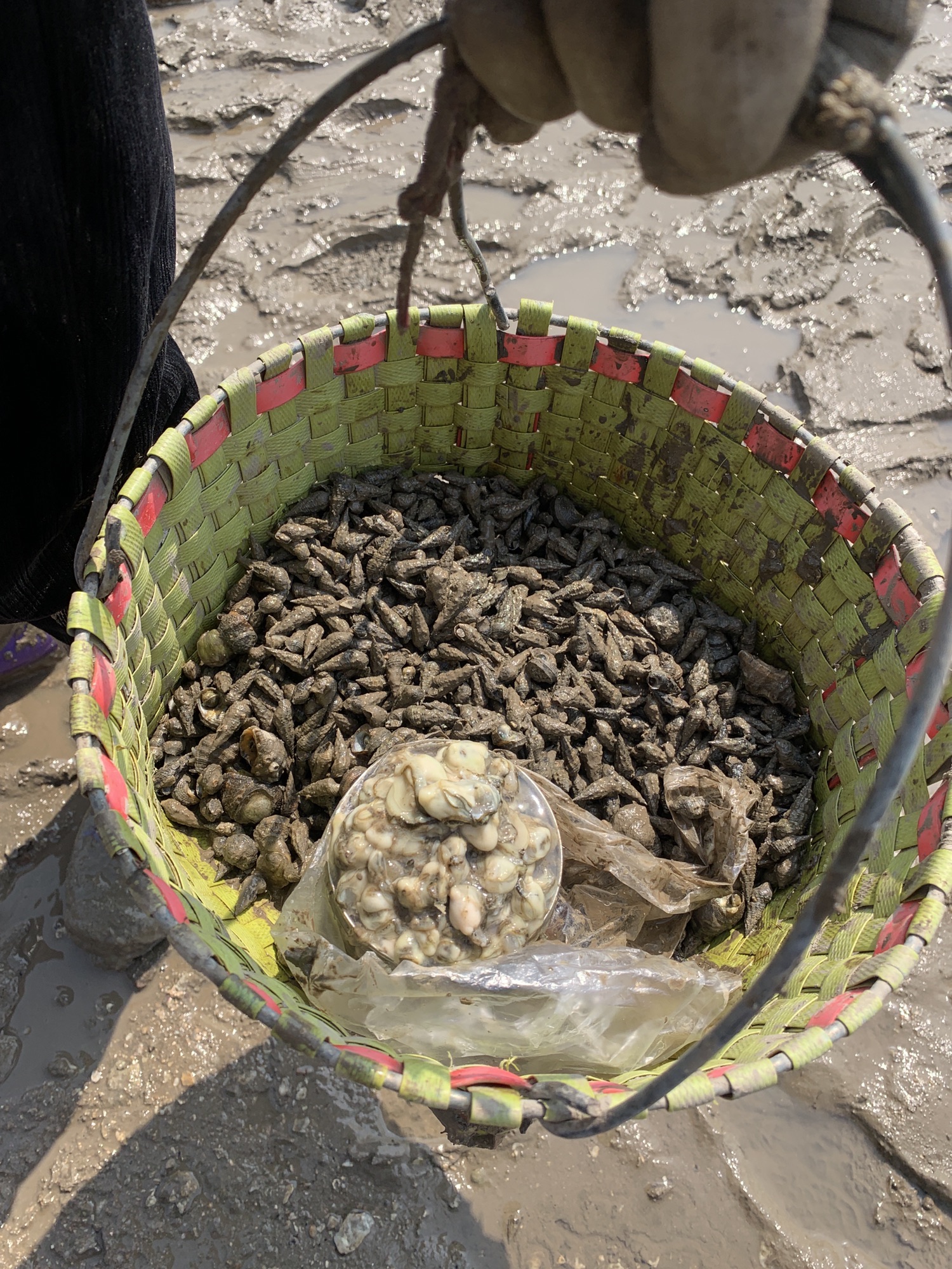 霞浦牛屿滩涂赶海体验中心旅行图片 1