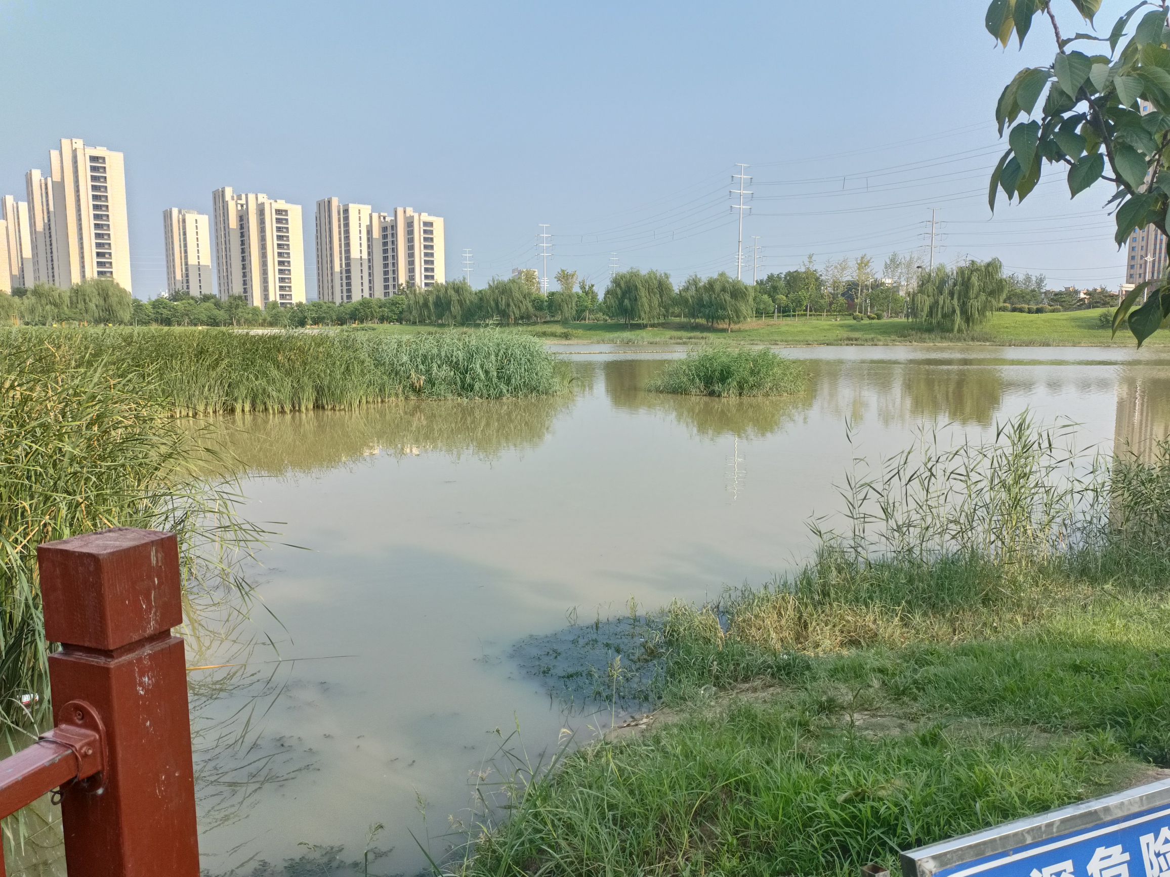 大沙河湿地公园旅行图片 1