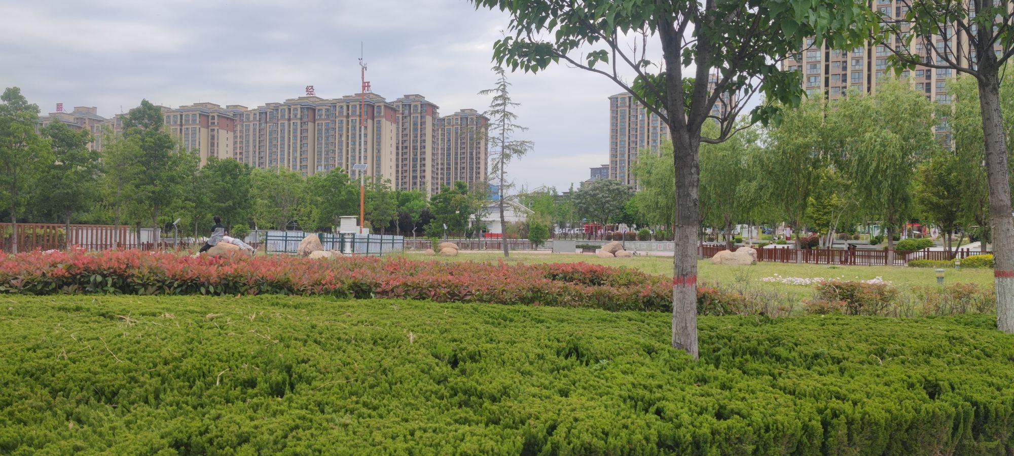 大沙河湿地公园旅行图片 3