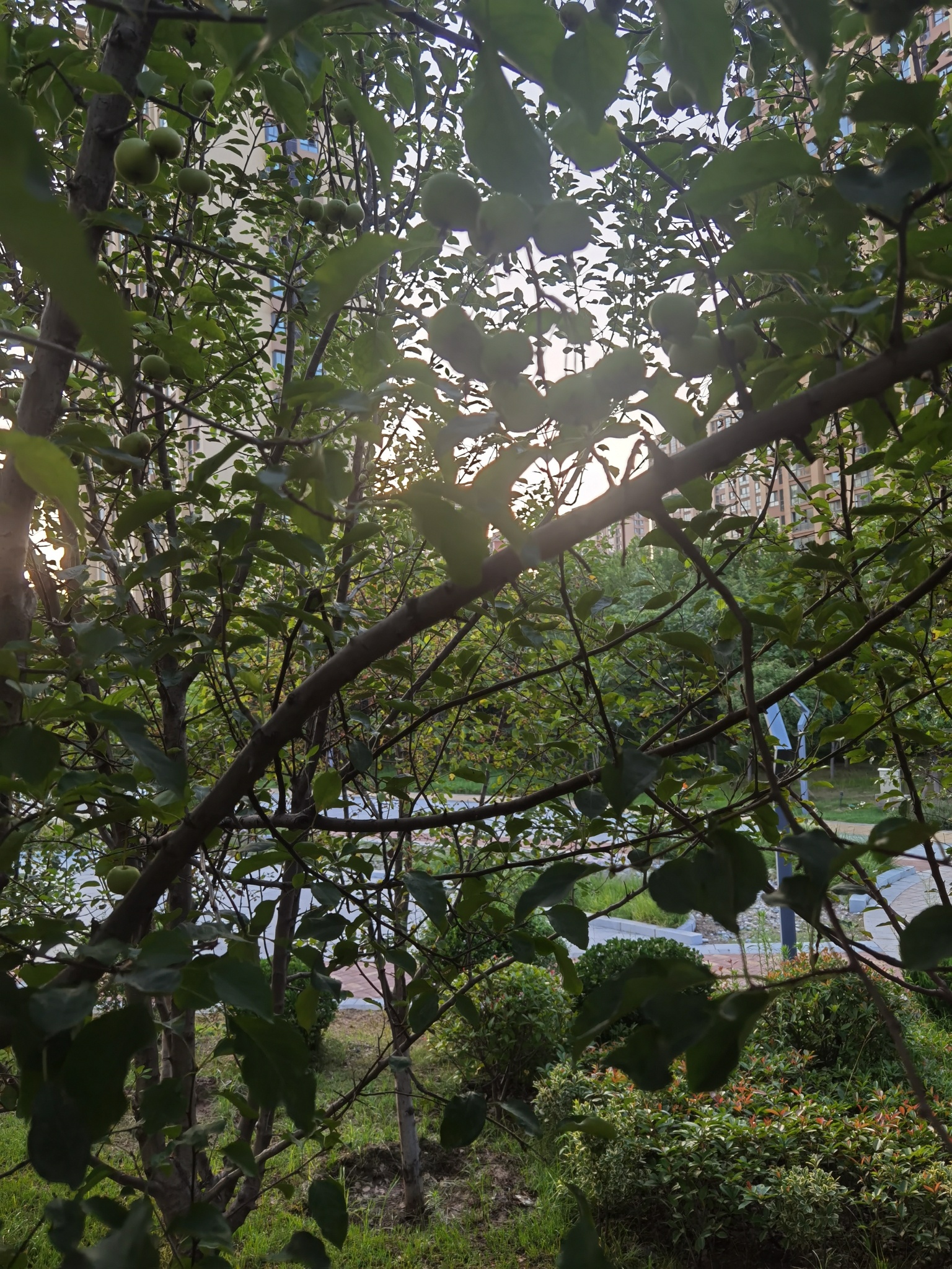 大沙河湿地公园旅行图片 3