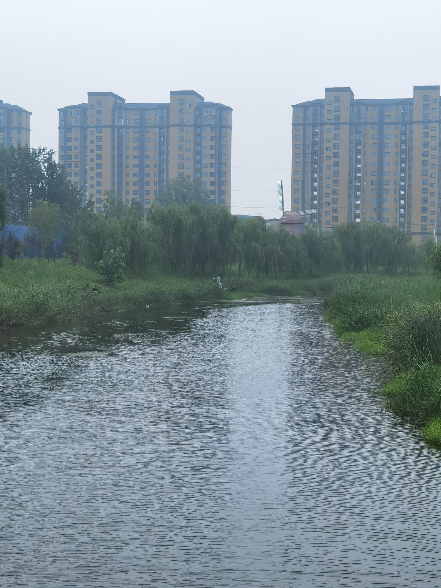 大沙河湿地公园旅行图片 1