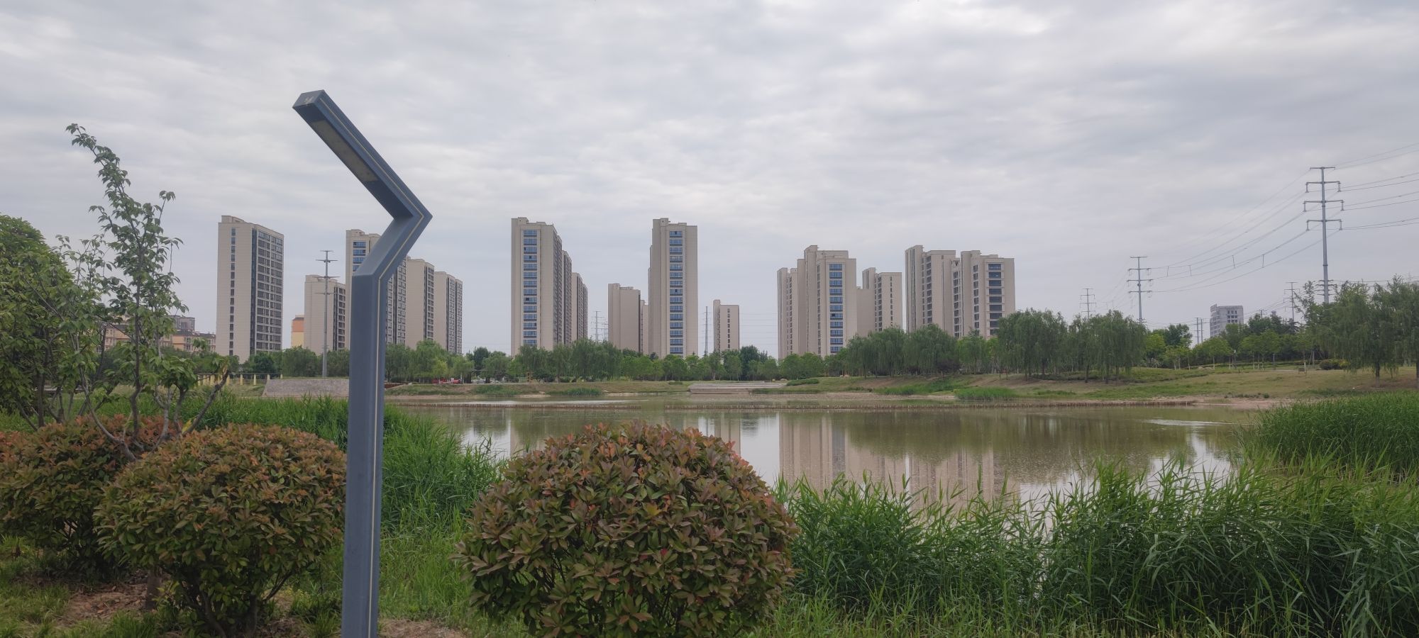 大沙河湿地公园旅行图片 2