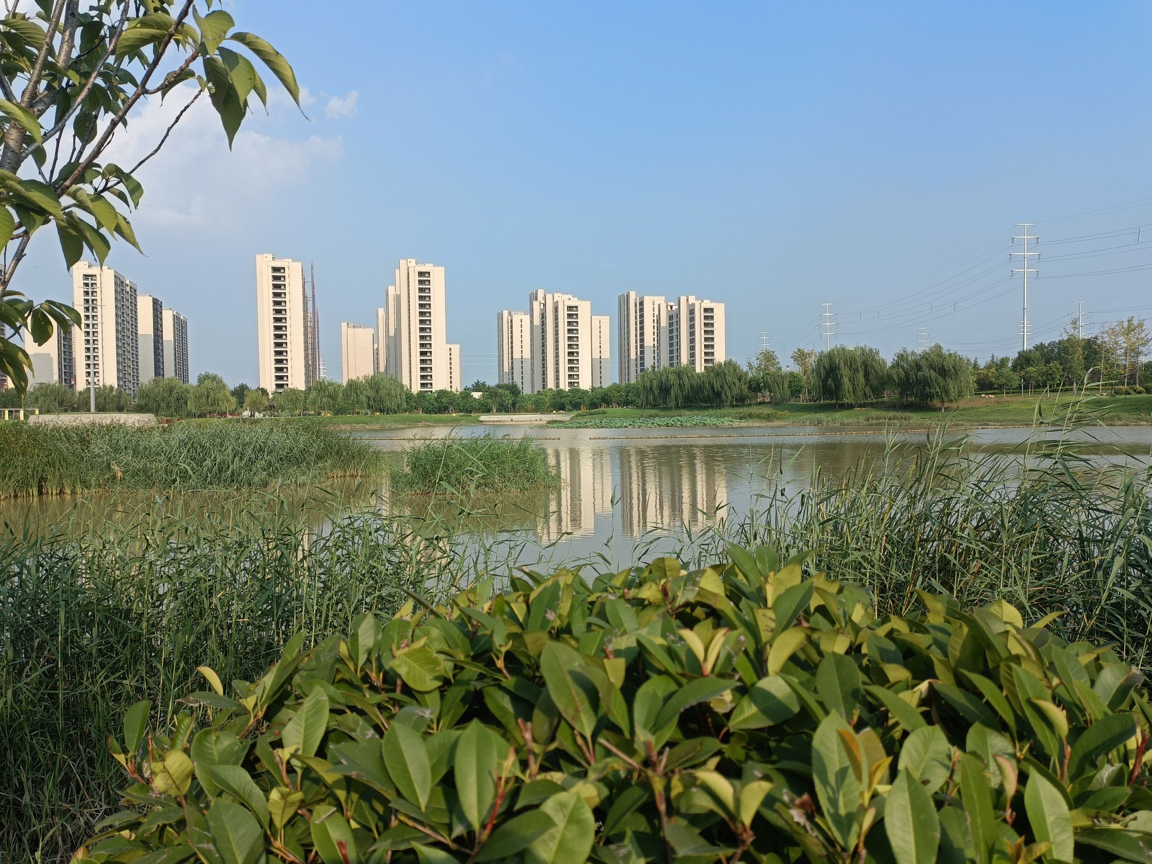 大沙河湿地公园旅行图片 2