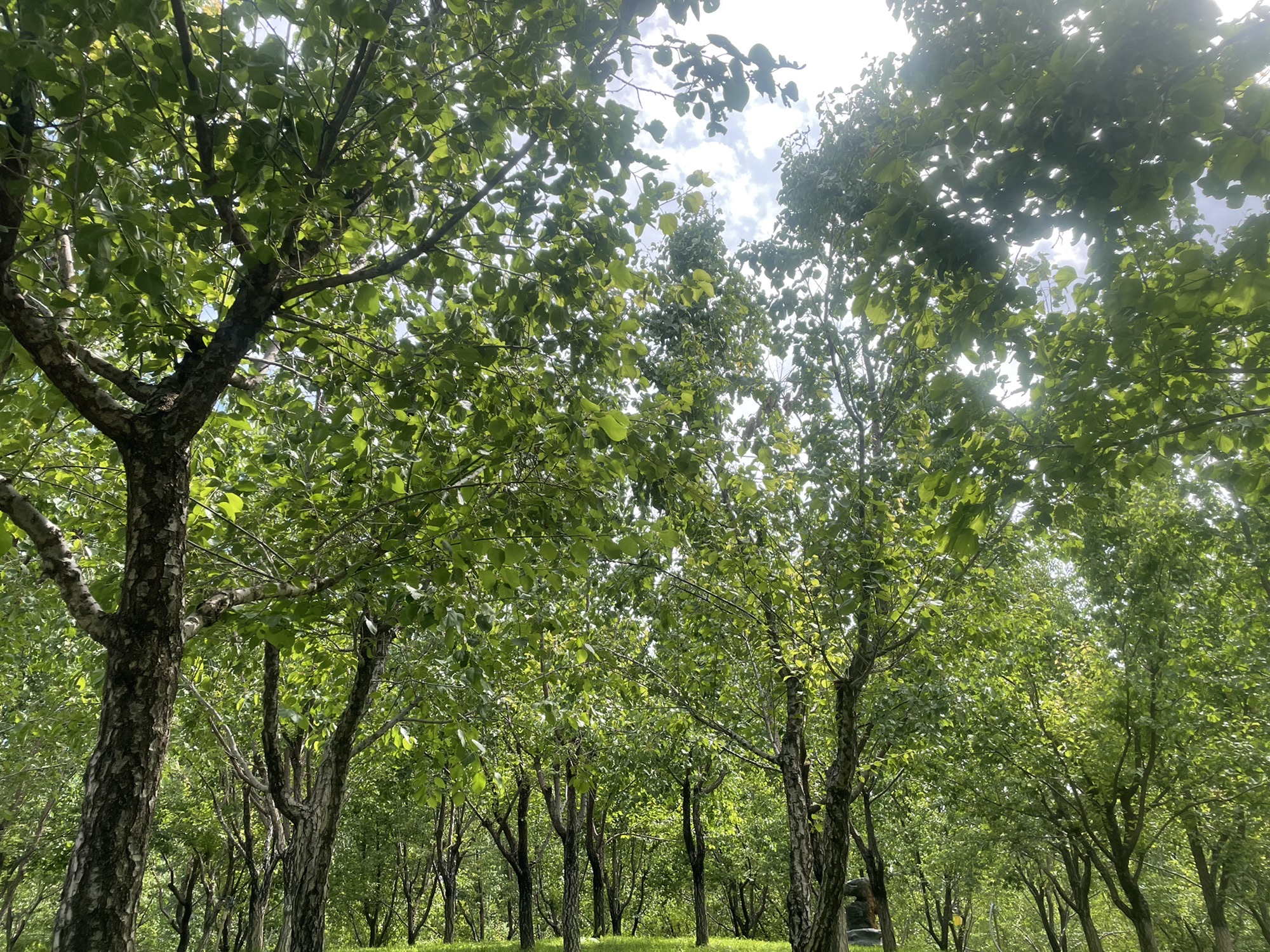 榆林环城北路休闲体育运动公园