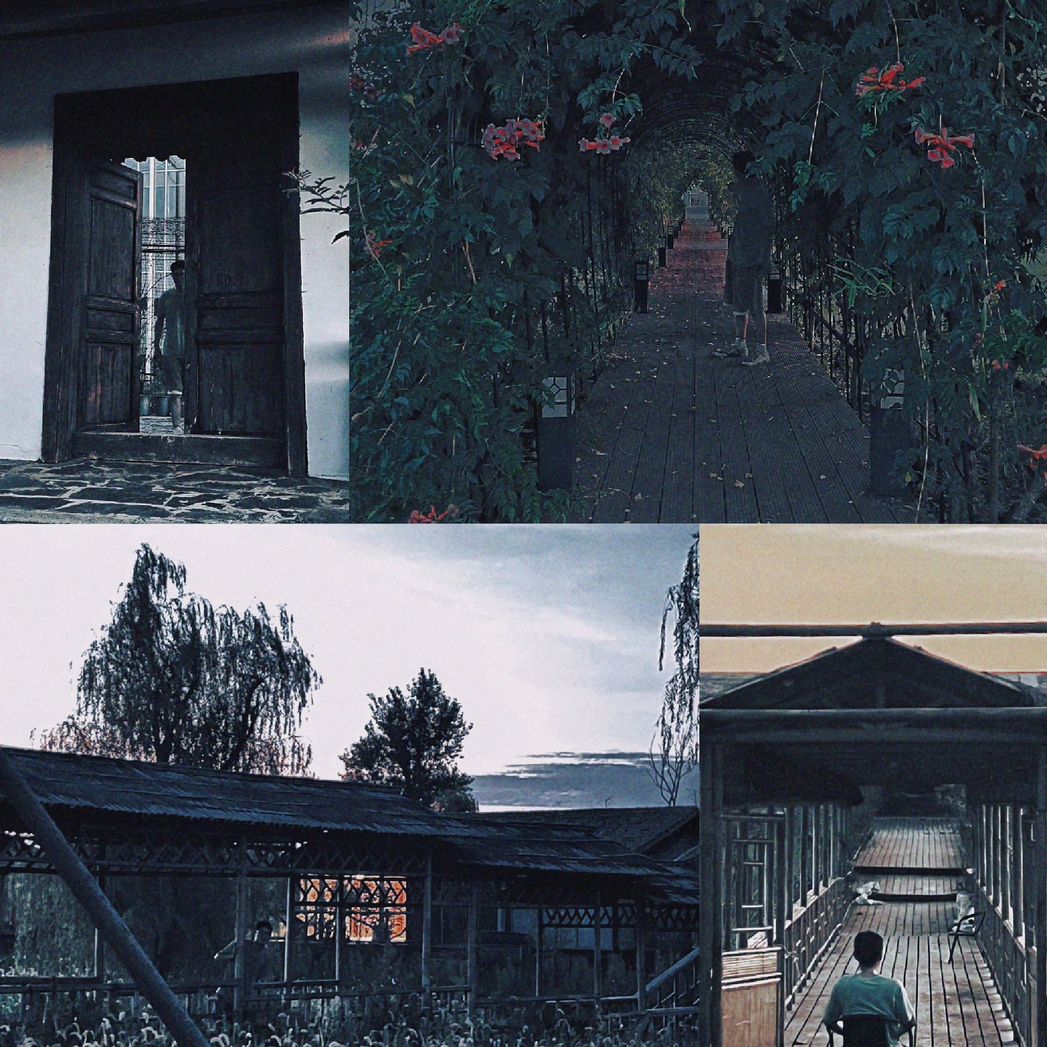 溧水仟陌花开综合景区旅行图片 1