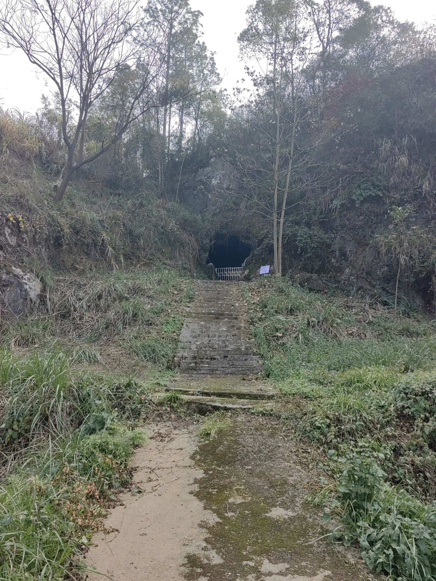 竹山园古代石遗址旅行图片 3