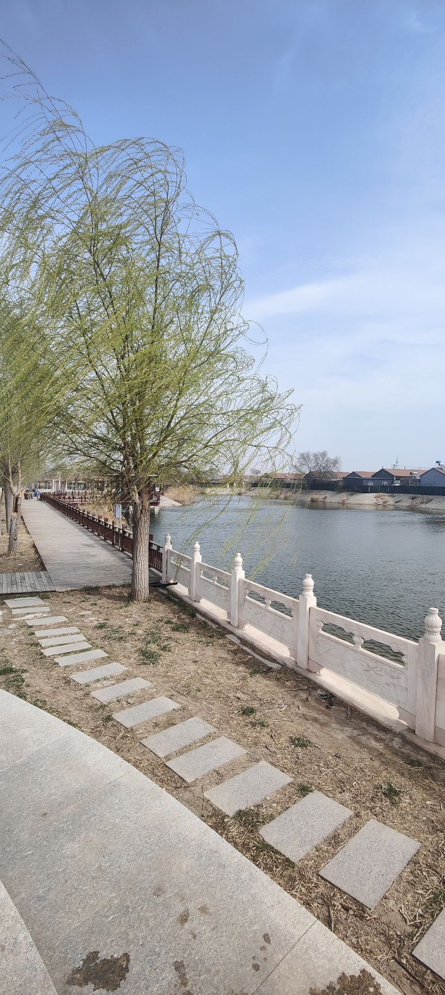 兴济乾宁运河文化公园旅行图片 1