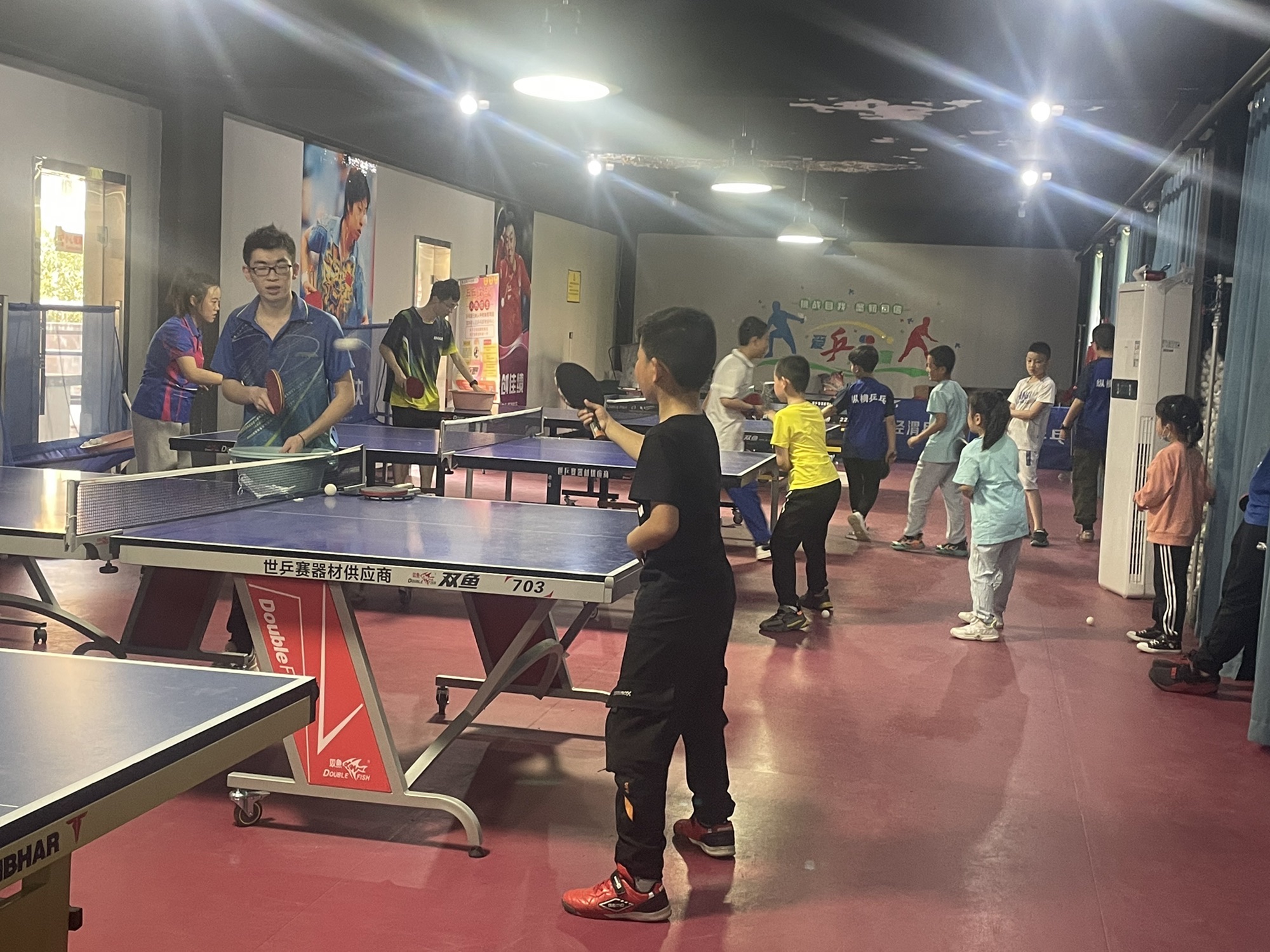 高陵纵横乒乓球俱乐部的第3张图片的图片资料