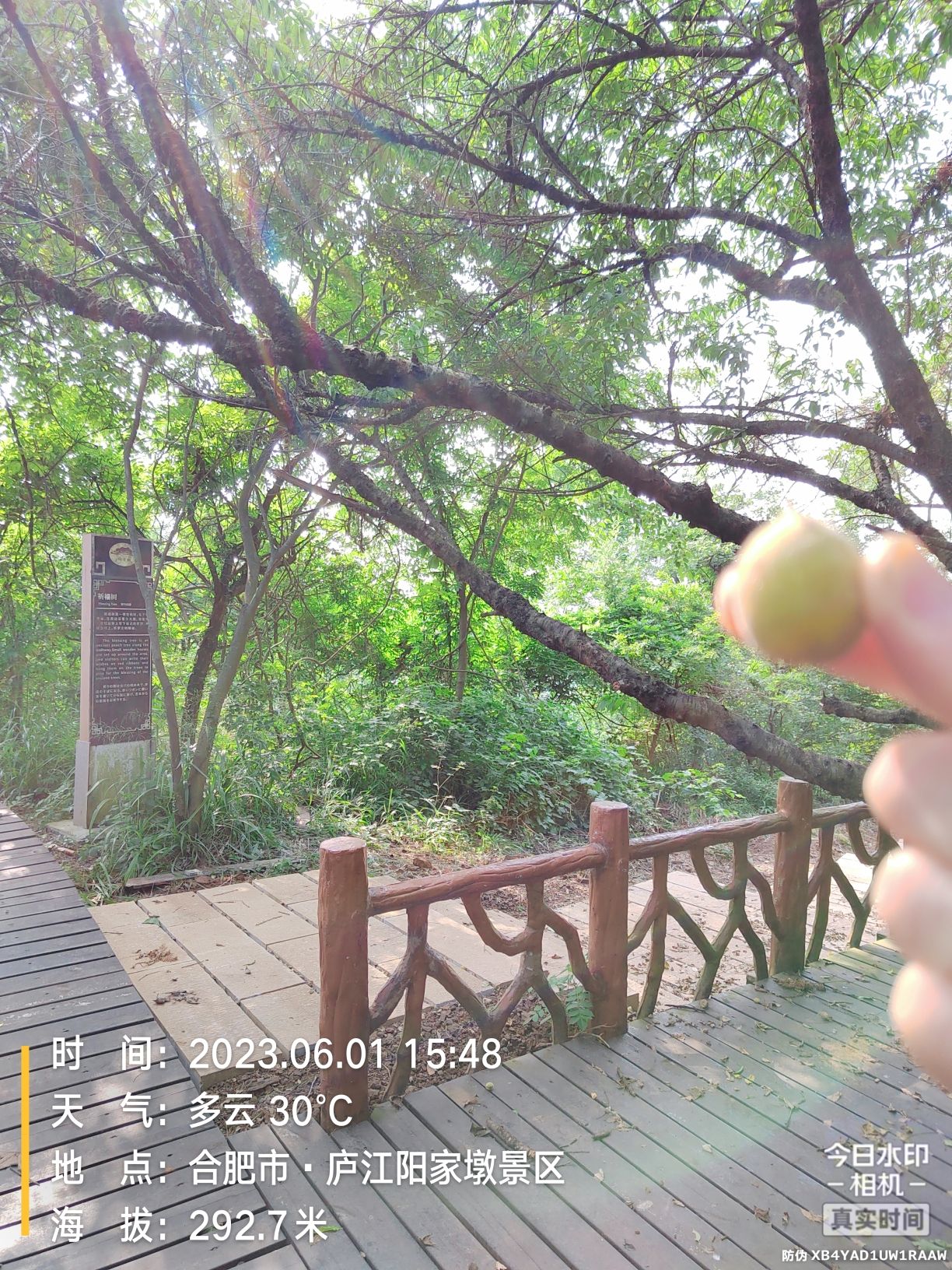 黄山寨风景区旅行图片 3