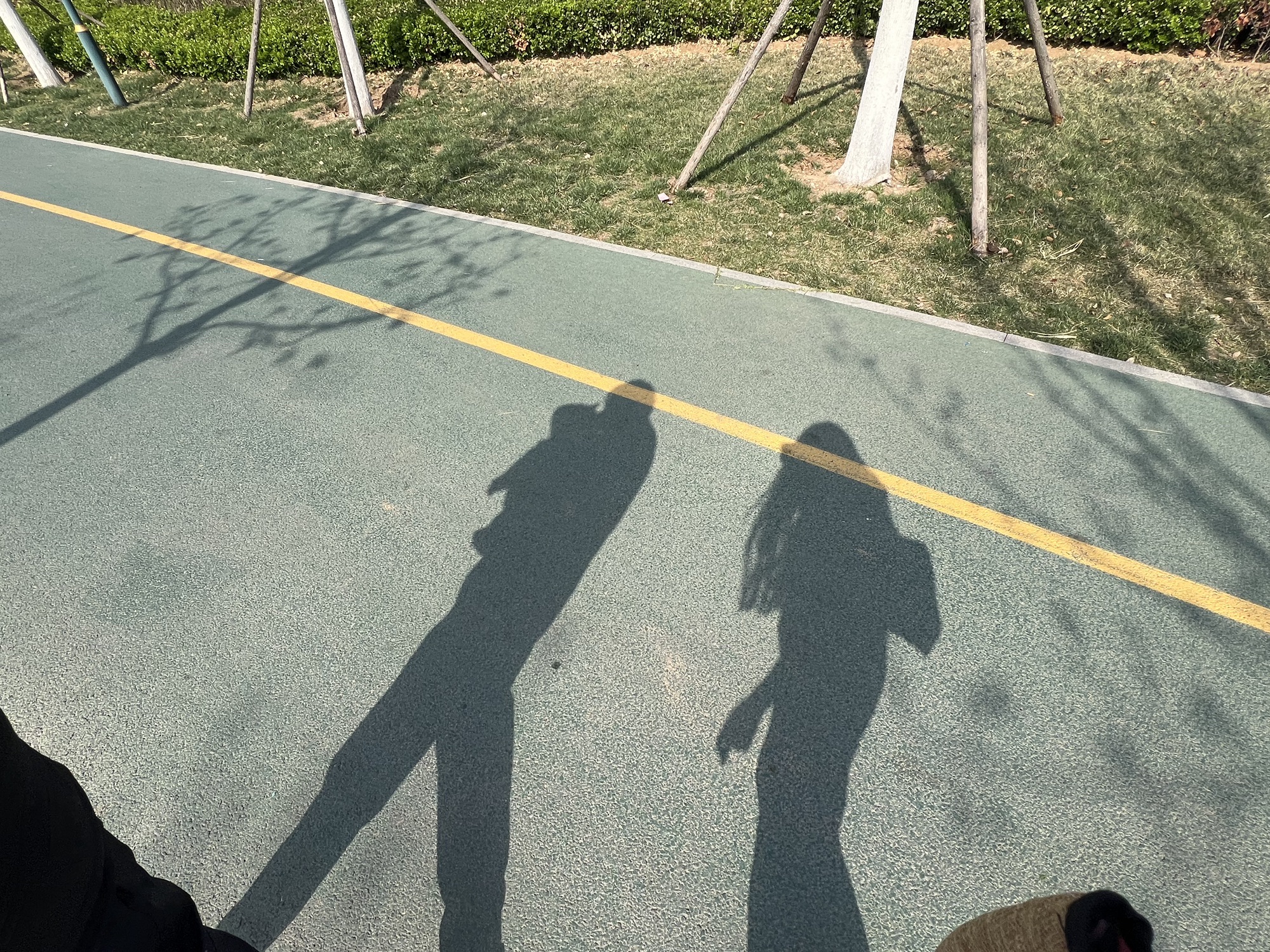 中央森林公园旅行图片 3