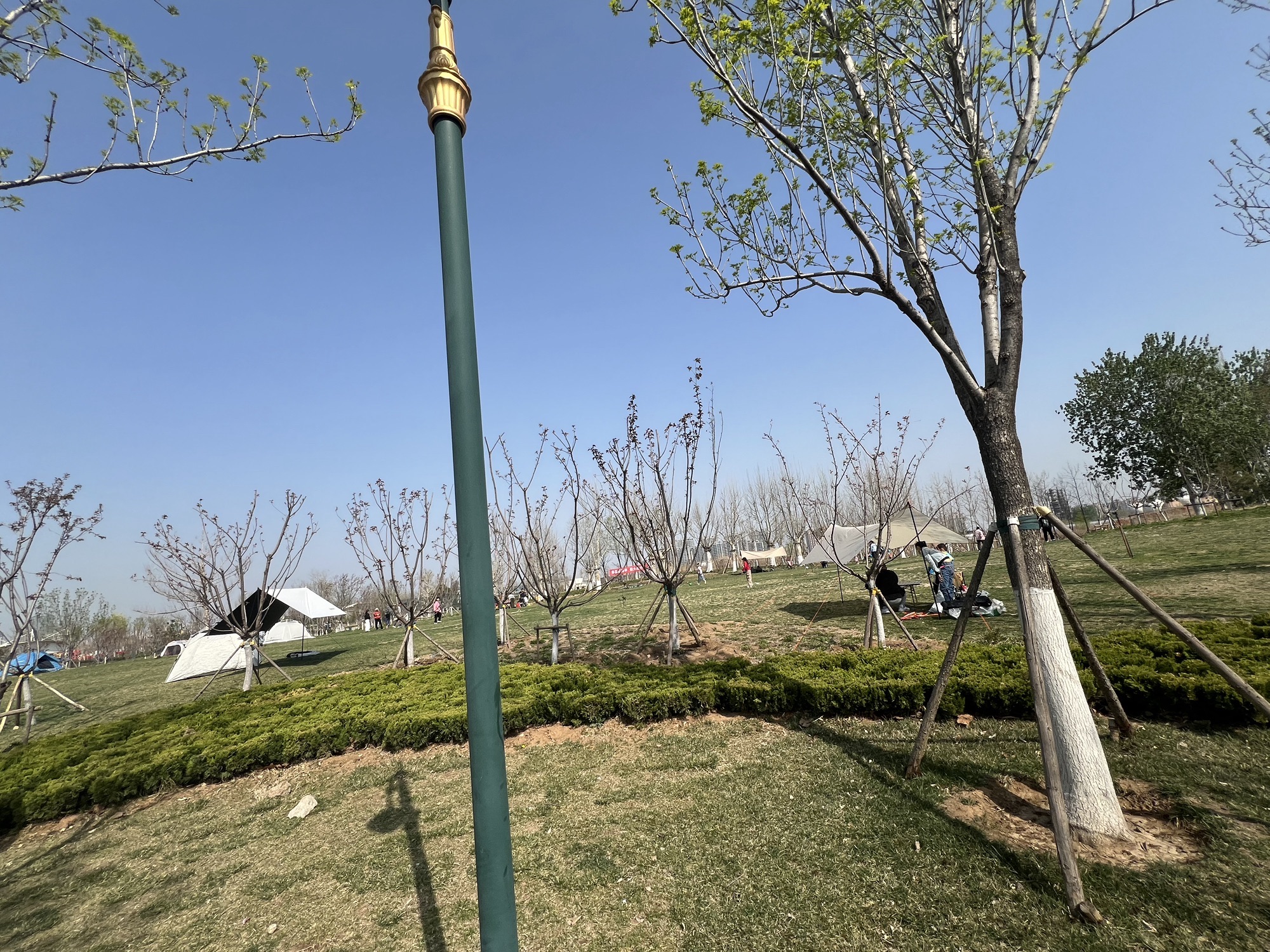 中央森林公园旅行图片 2