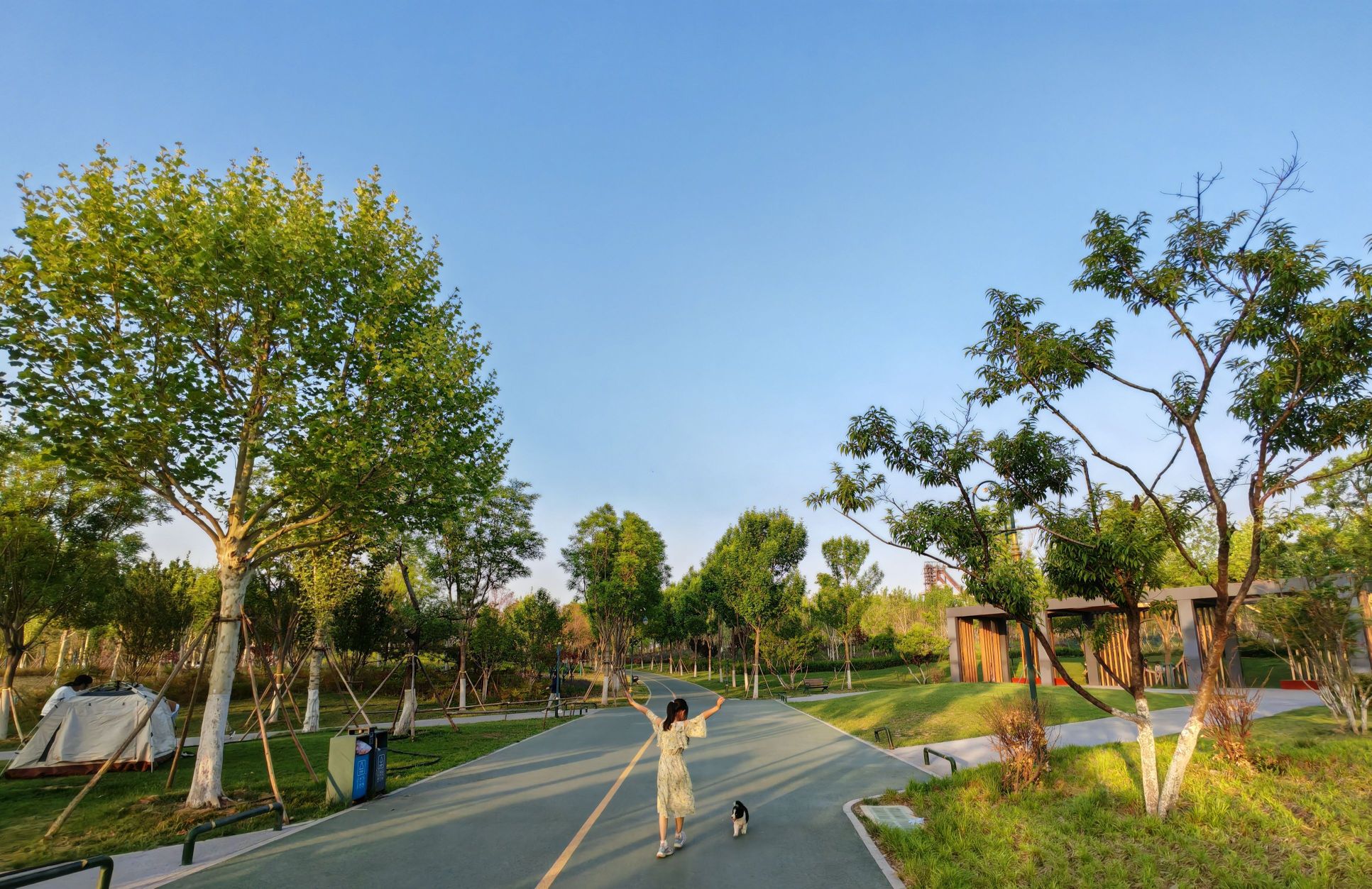 中央森林公园旅行图片 1