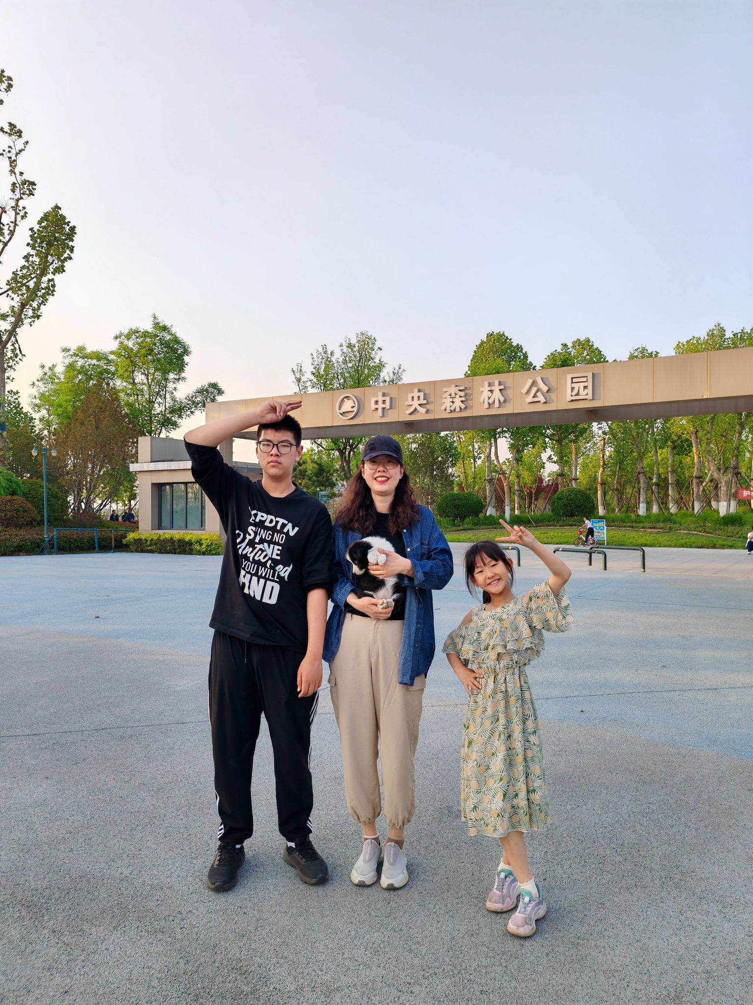 中央森林公园旅行图片 3