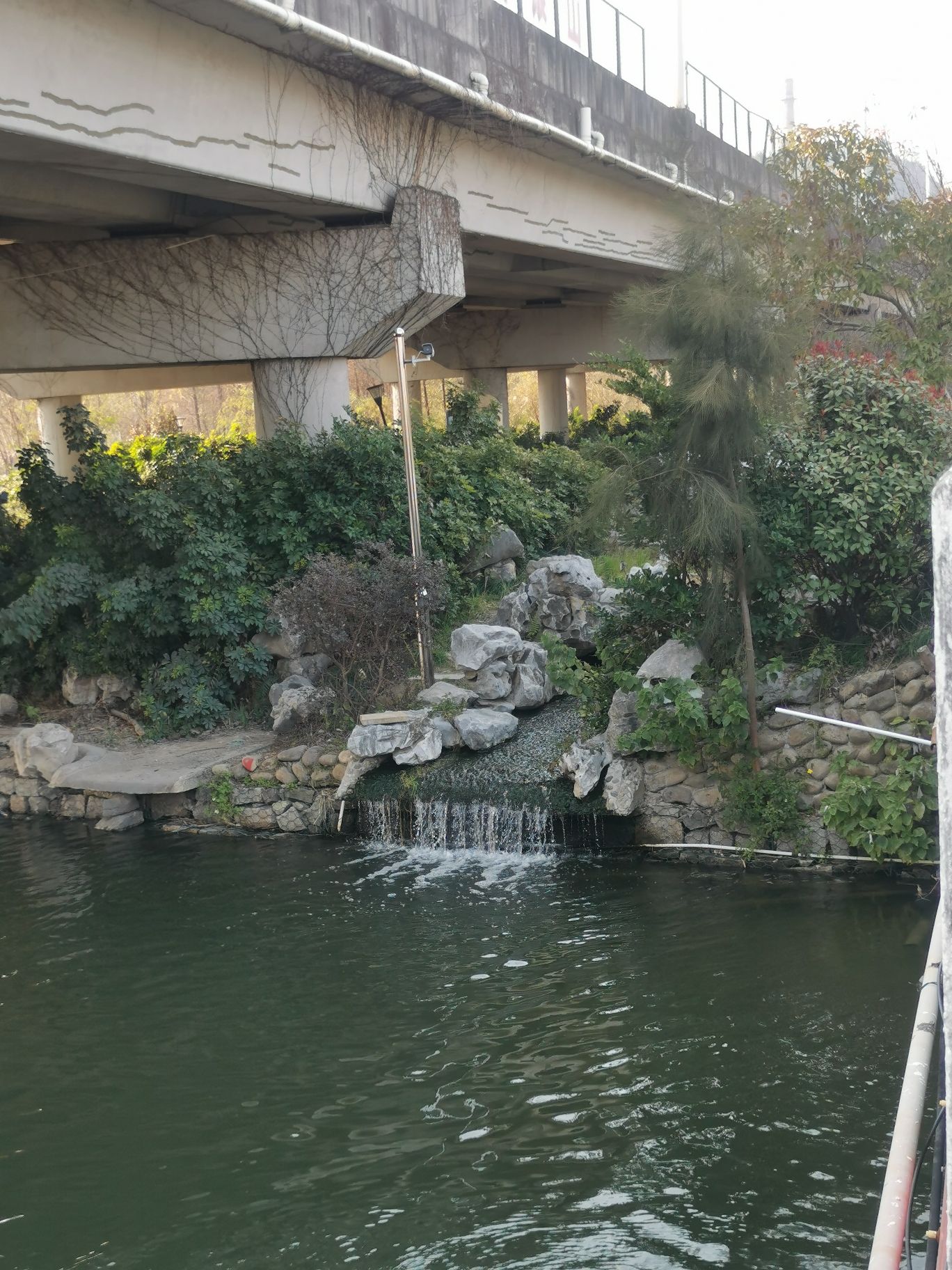 药都湿地旅行图片 1