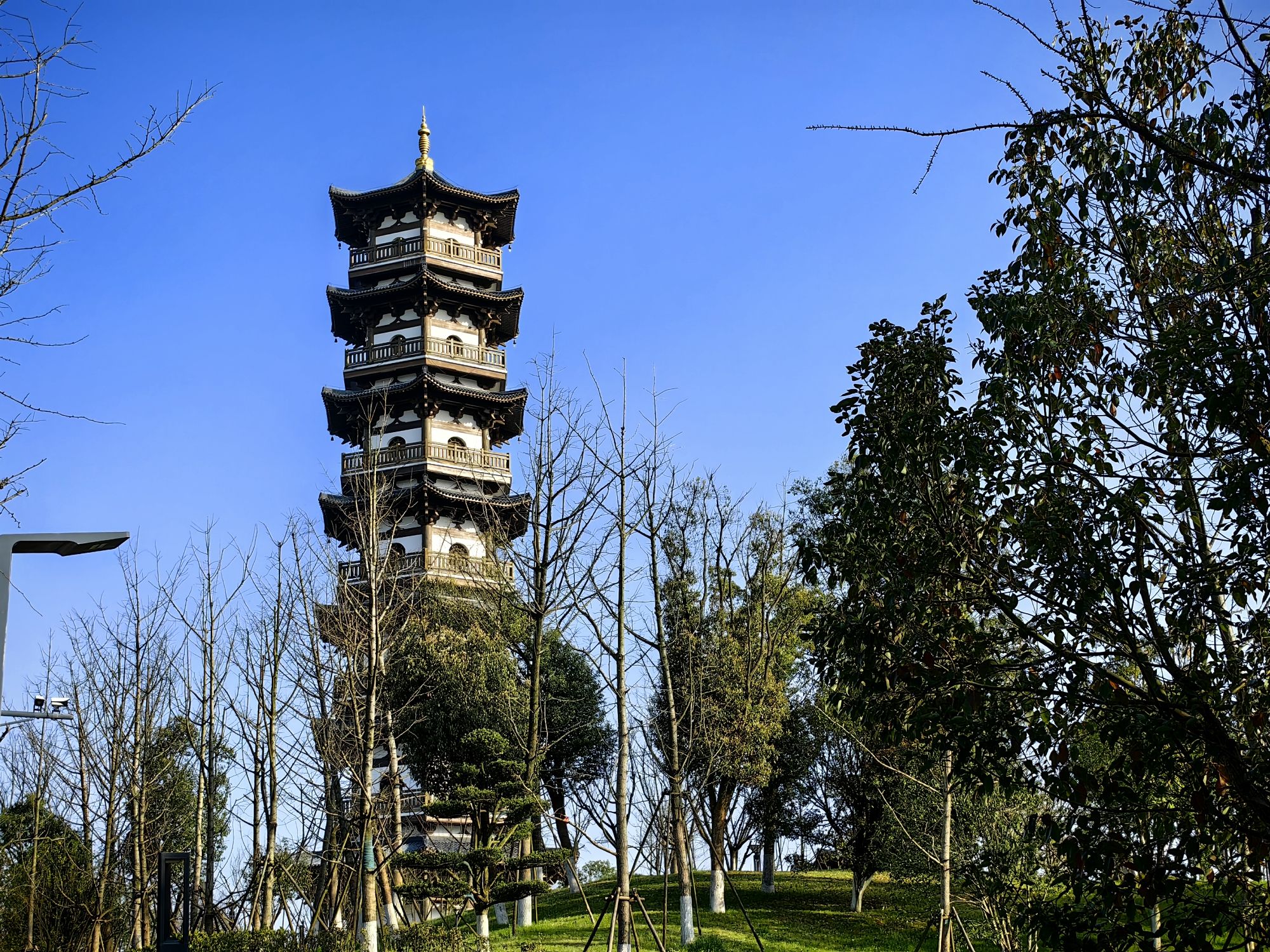 数创公园旅行图片 2