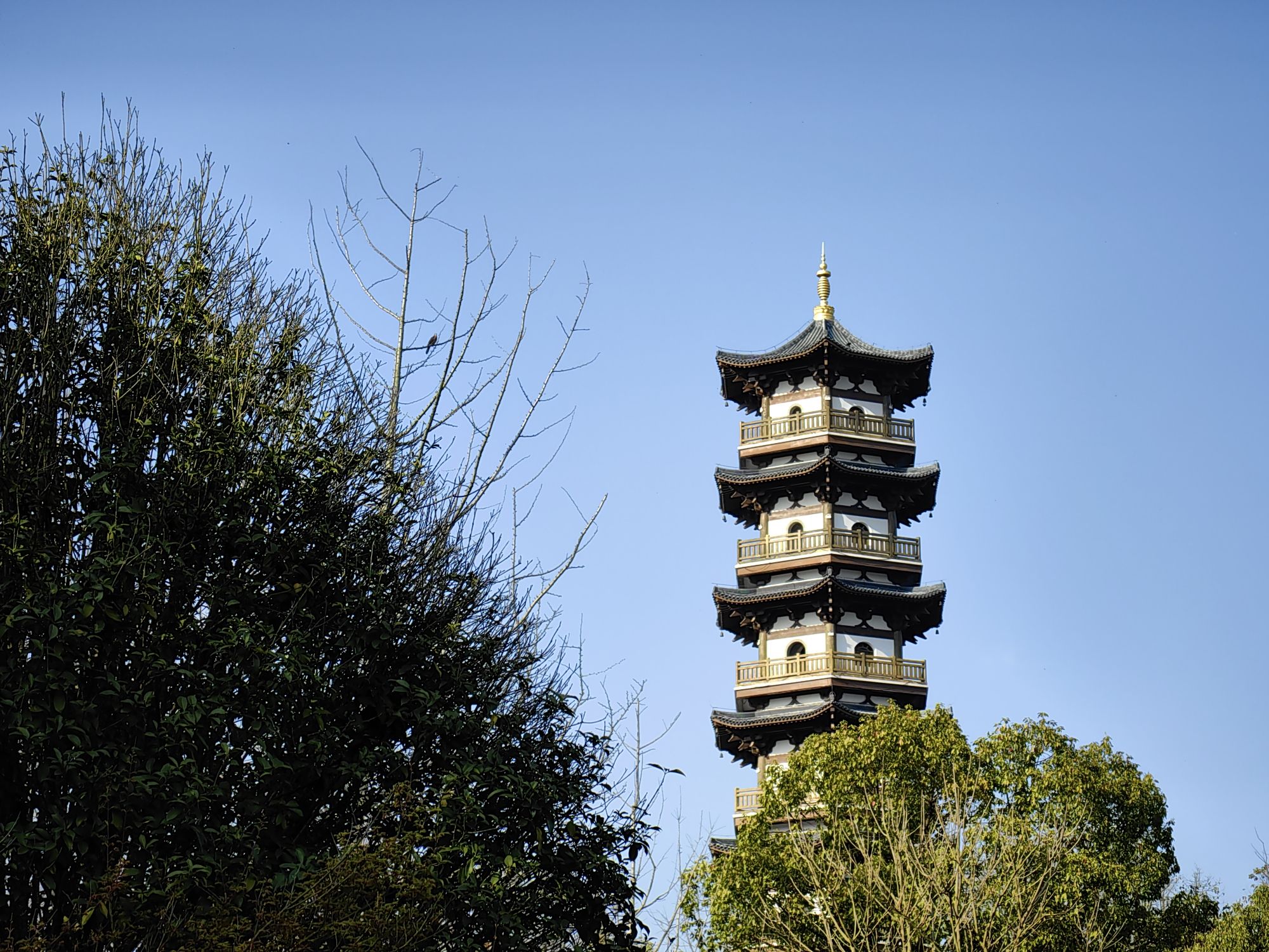 数创公园旅行图片 3