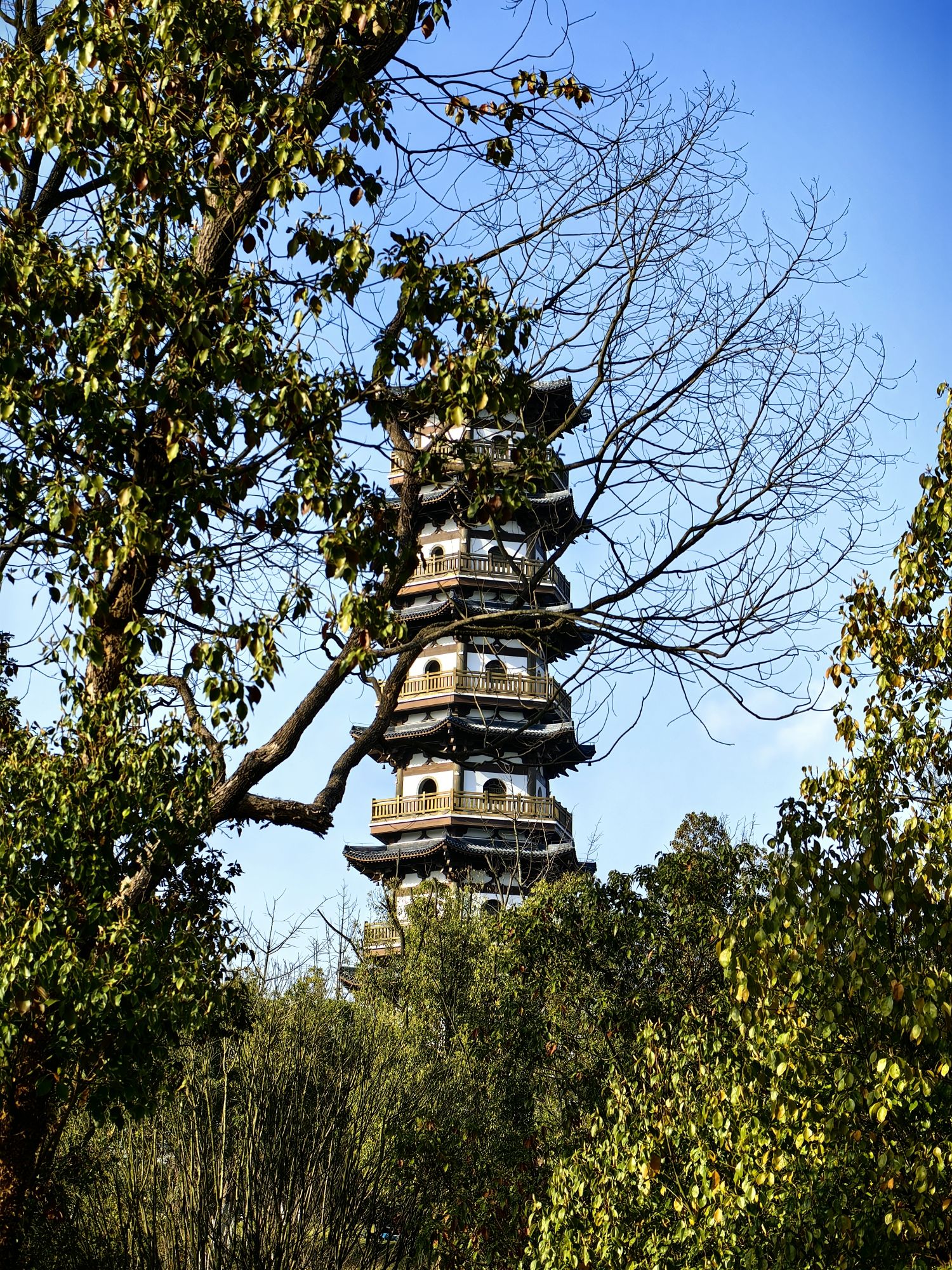 数创公园旅行图片 1