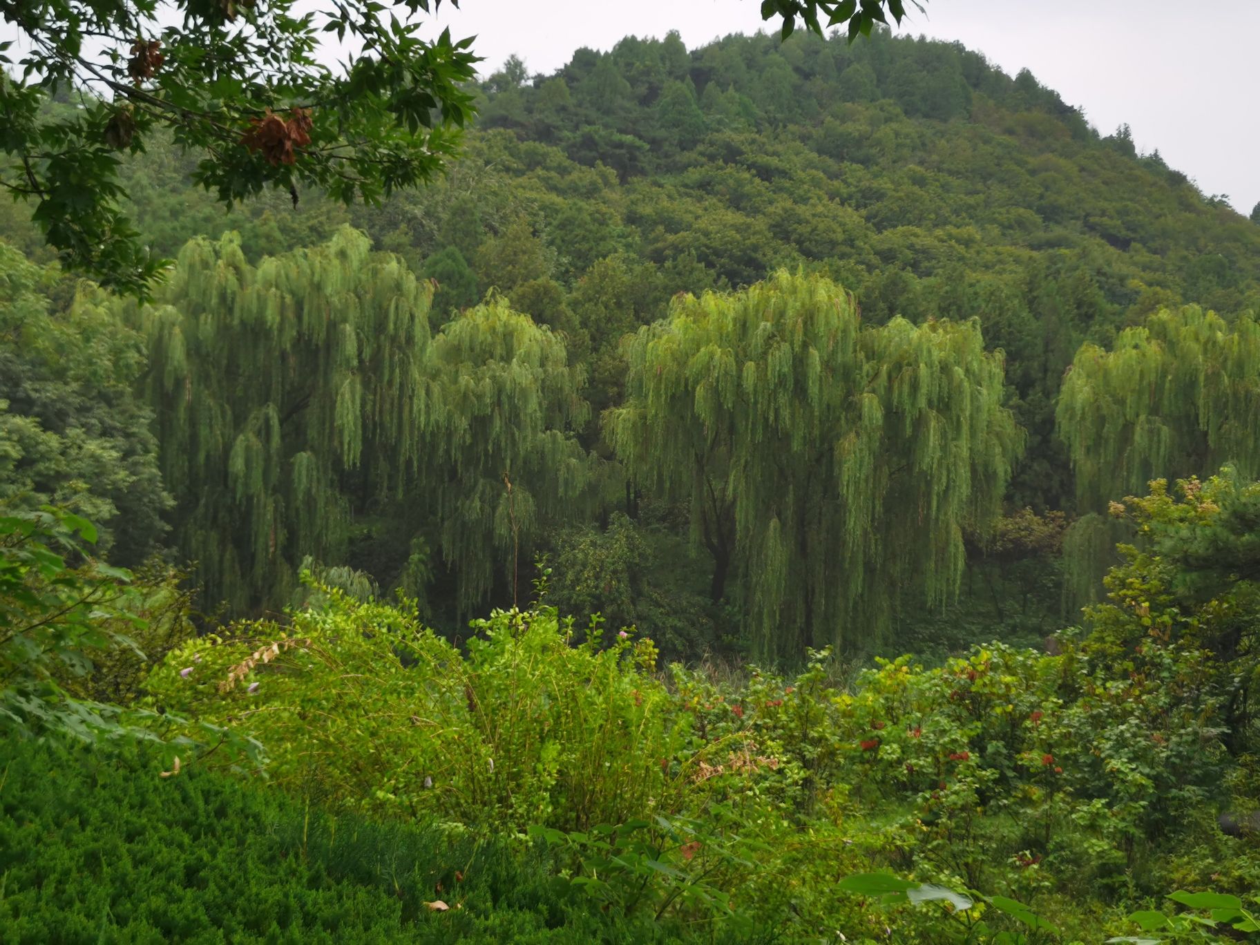 白马禅寺-清凉亭