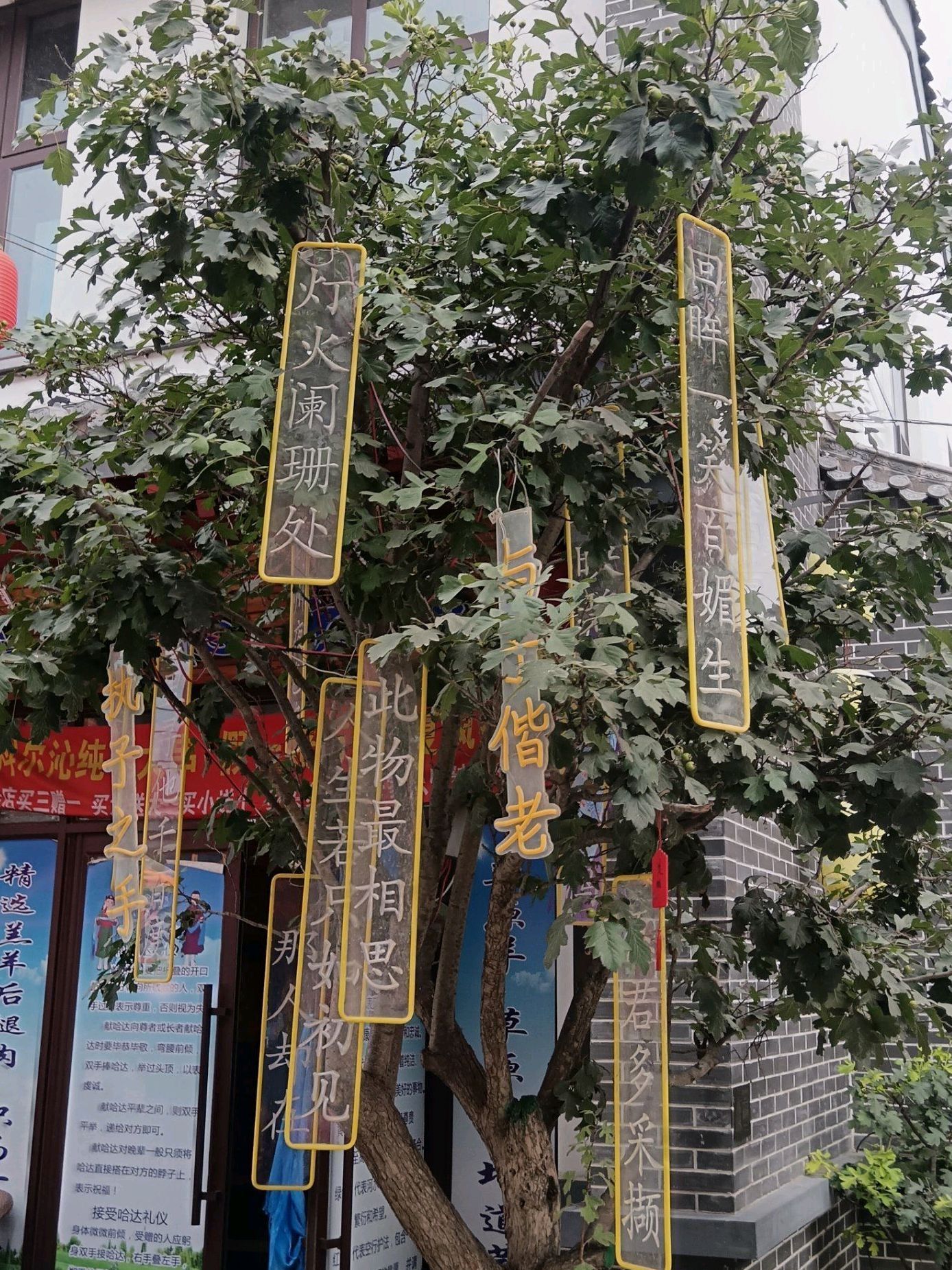 利州古城旅行图片 2