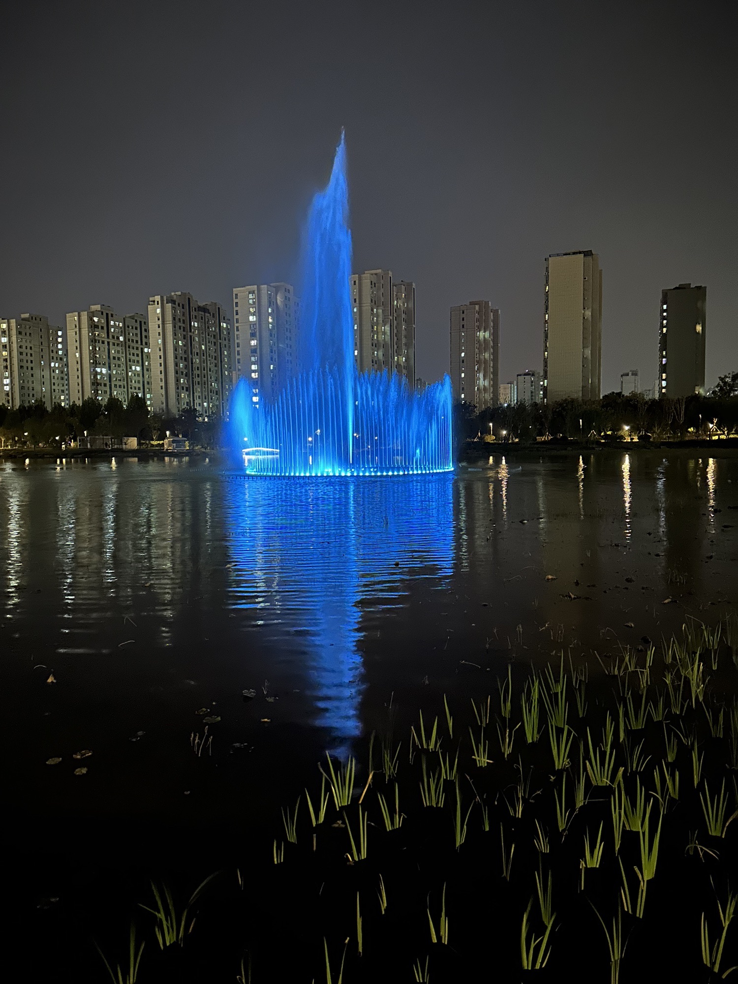 临沭人民公园旅行图片 1