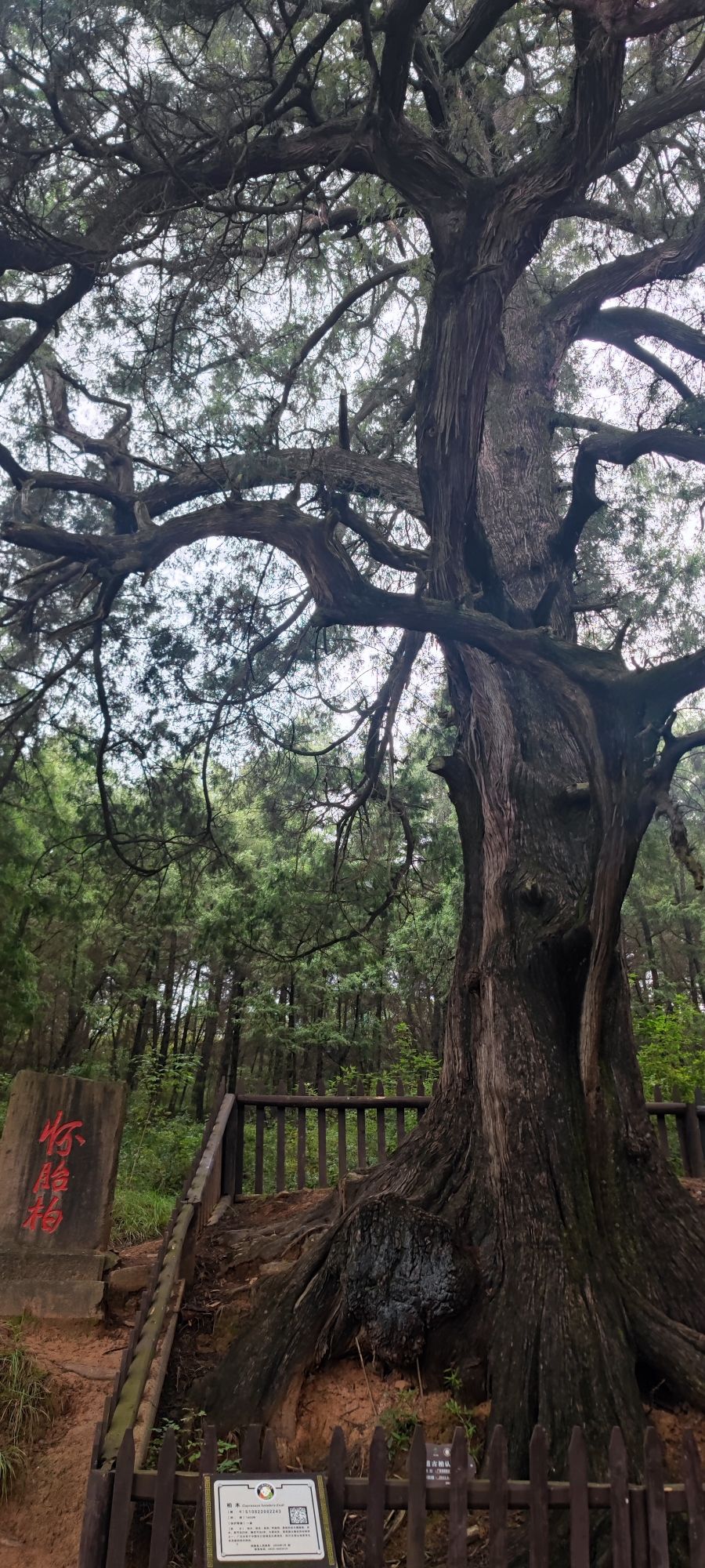 剑门七十二峰观景台旅行图片 1