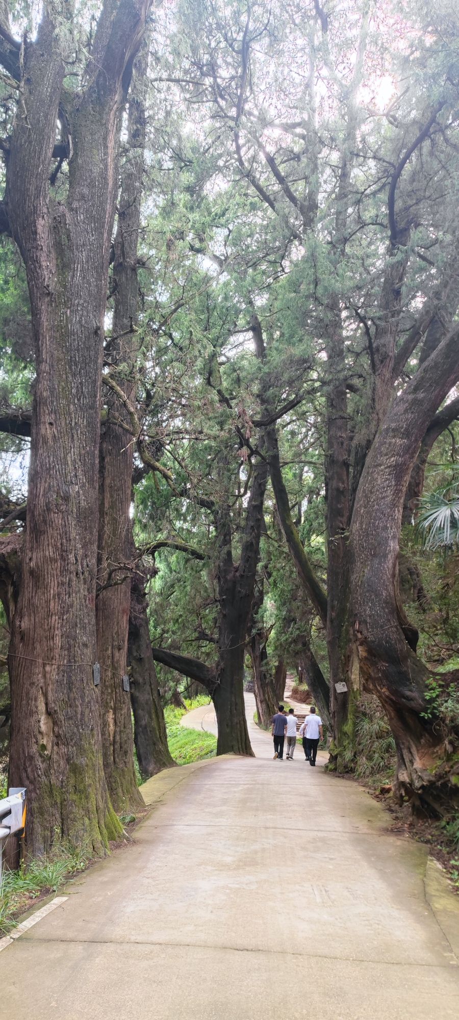 剑门七十二峰观景台旅行图片 3