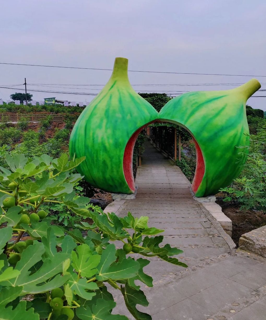 世界无花果博览园旅行图片 1