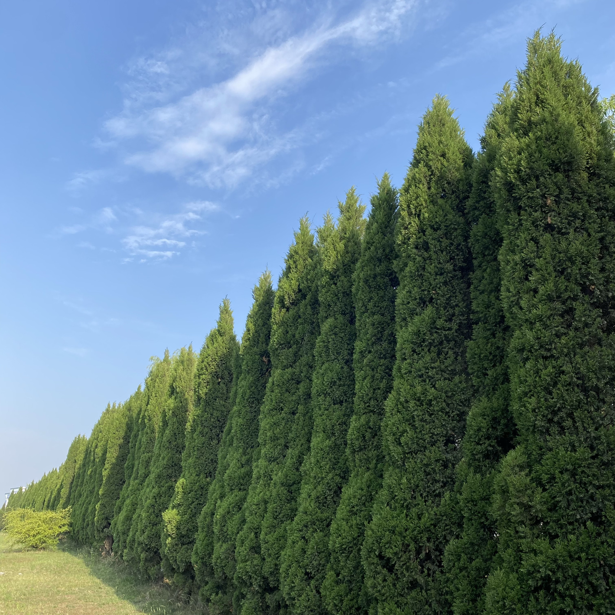 保丰沟竹海景区旅行图片 1