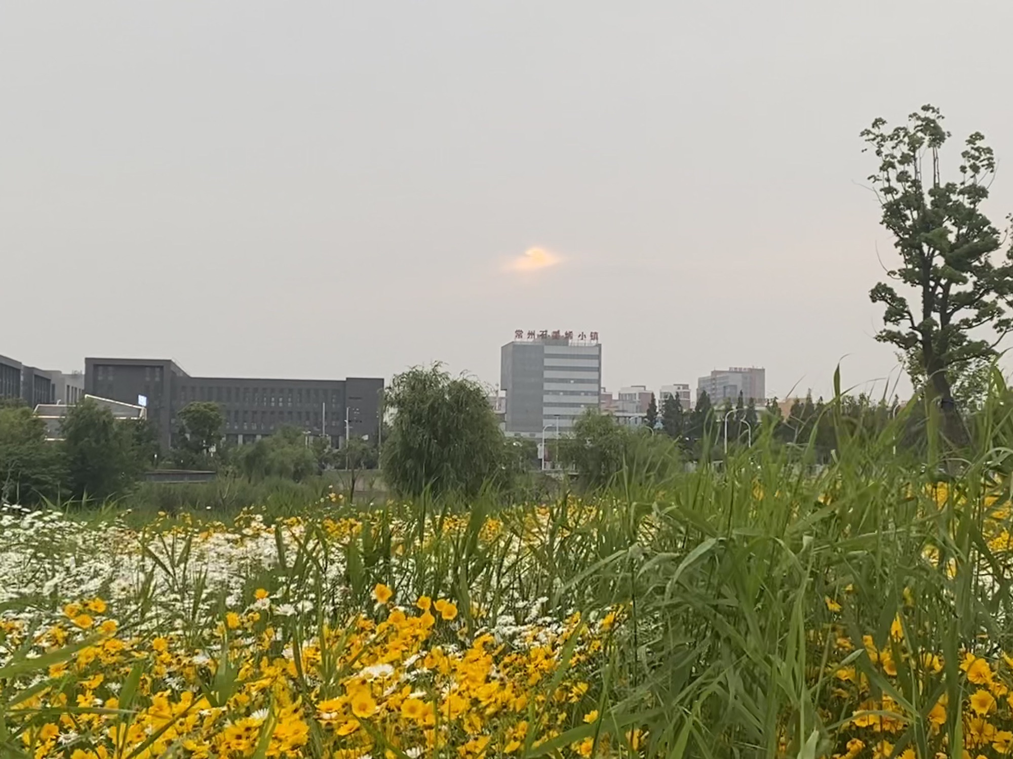 常州石墨烯小镇场北河景观公园旅行图片 1