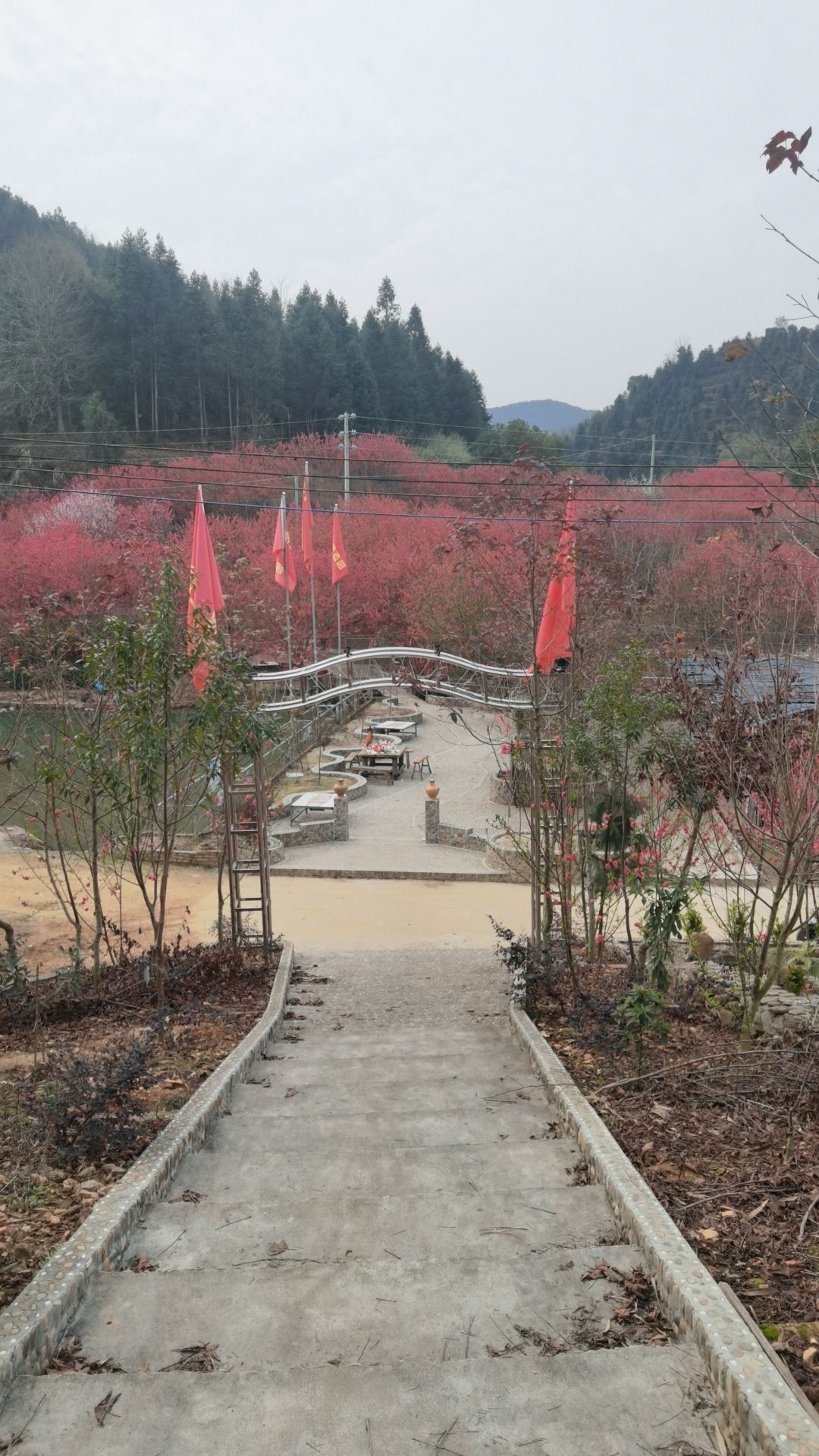 高桥生态园旅行图片 3