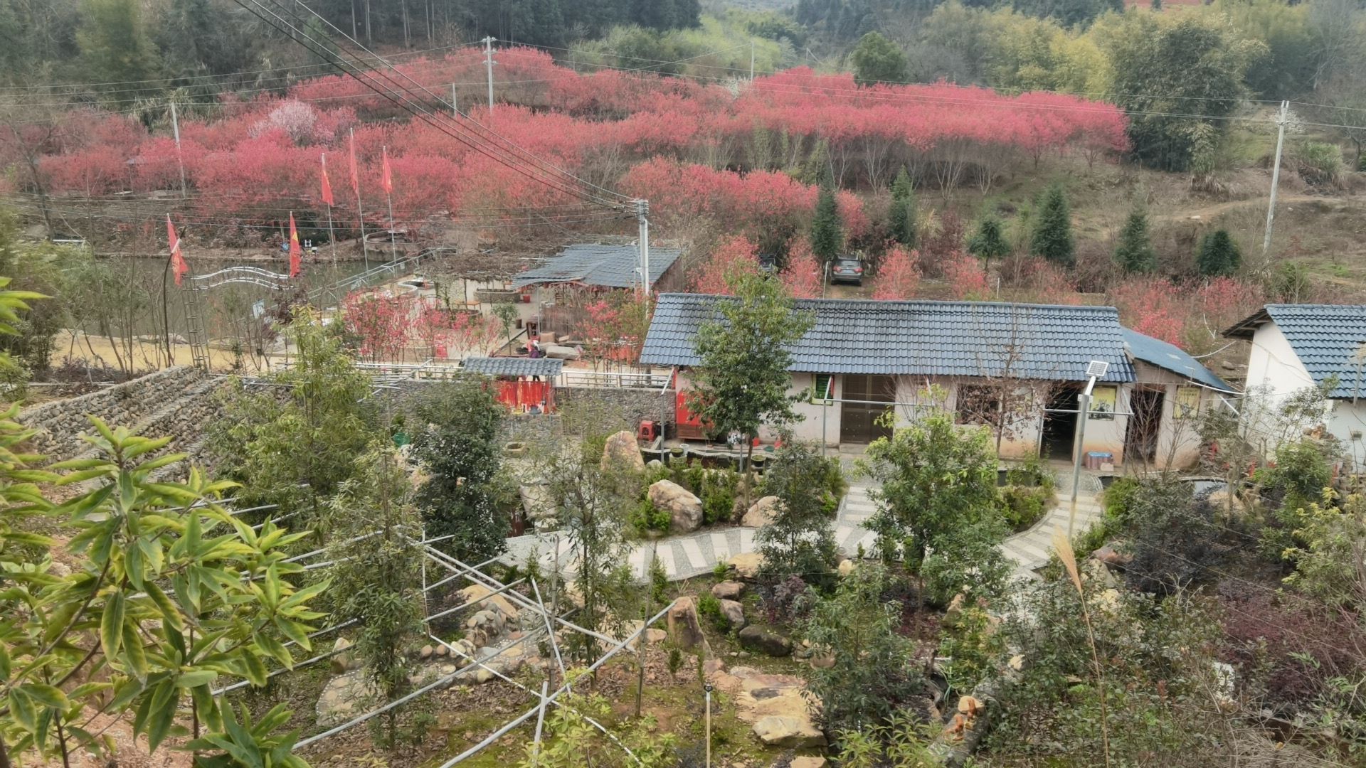 高桥生态园旅行图片 1