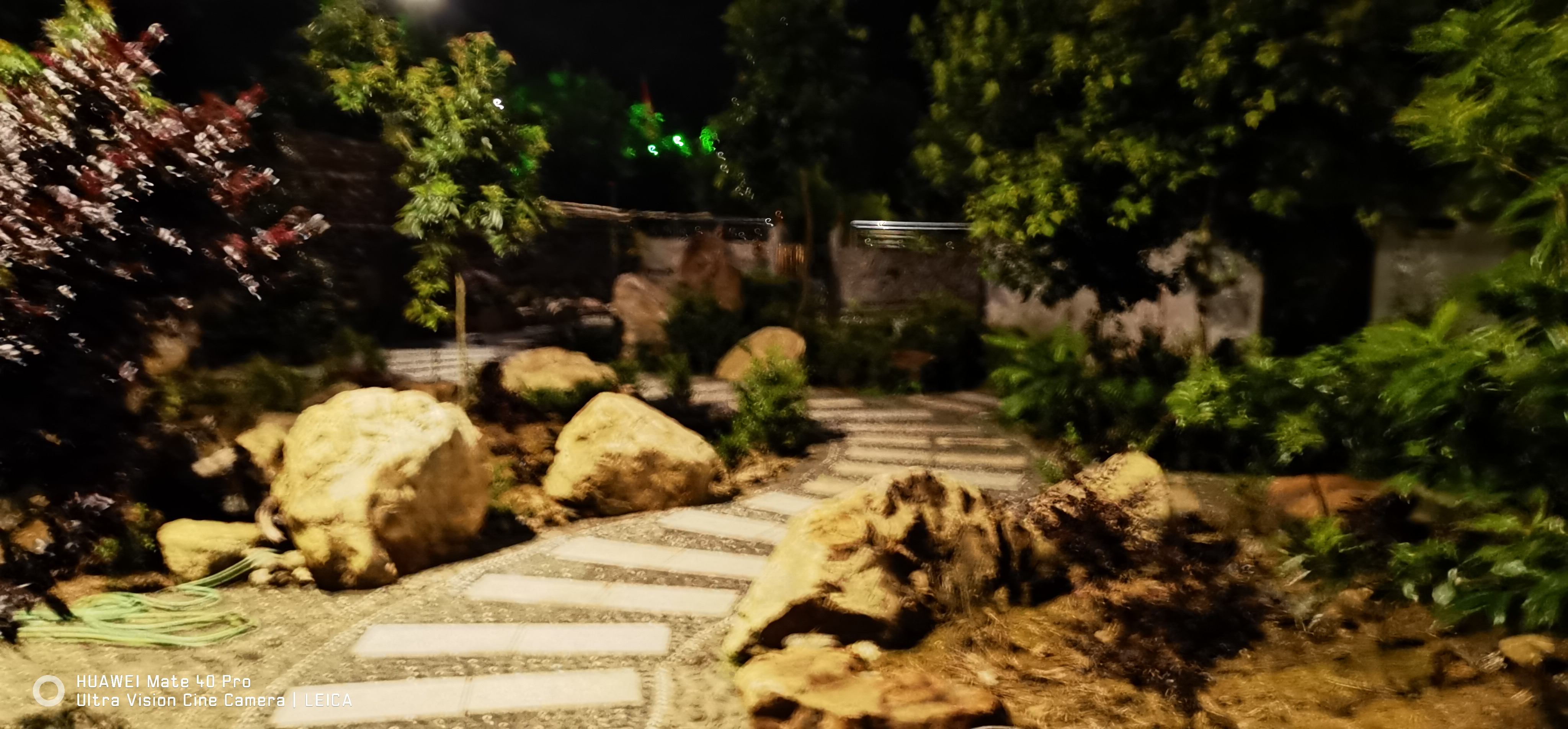 高桥生态园旅行图片 3