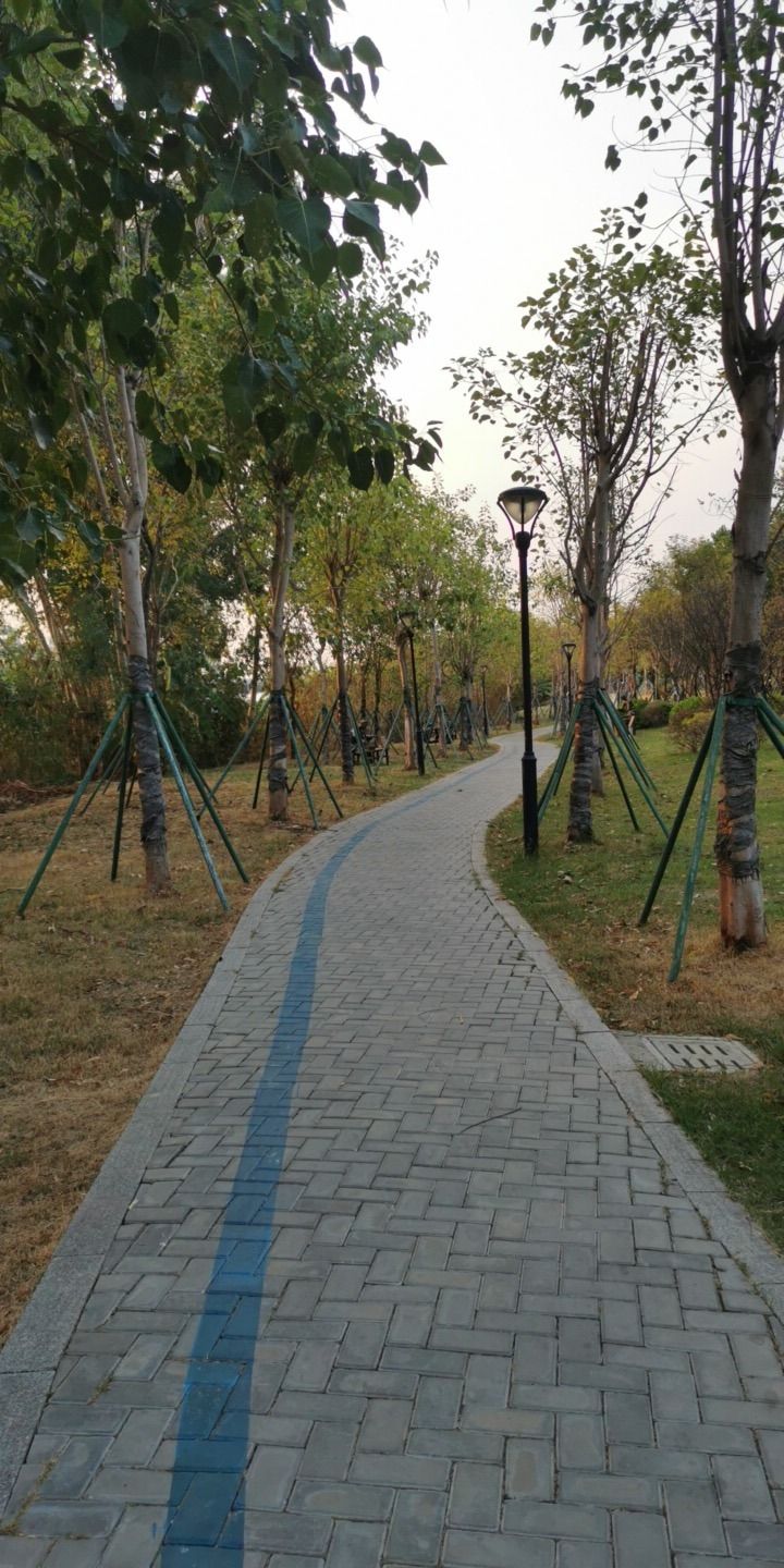 文山里公园旅行图片 3