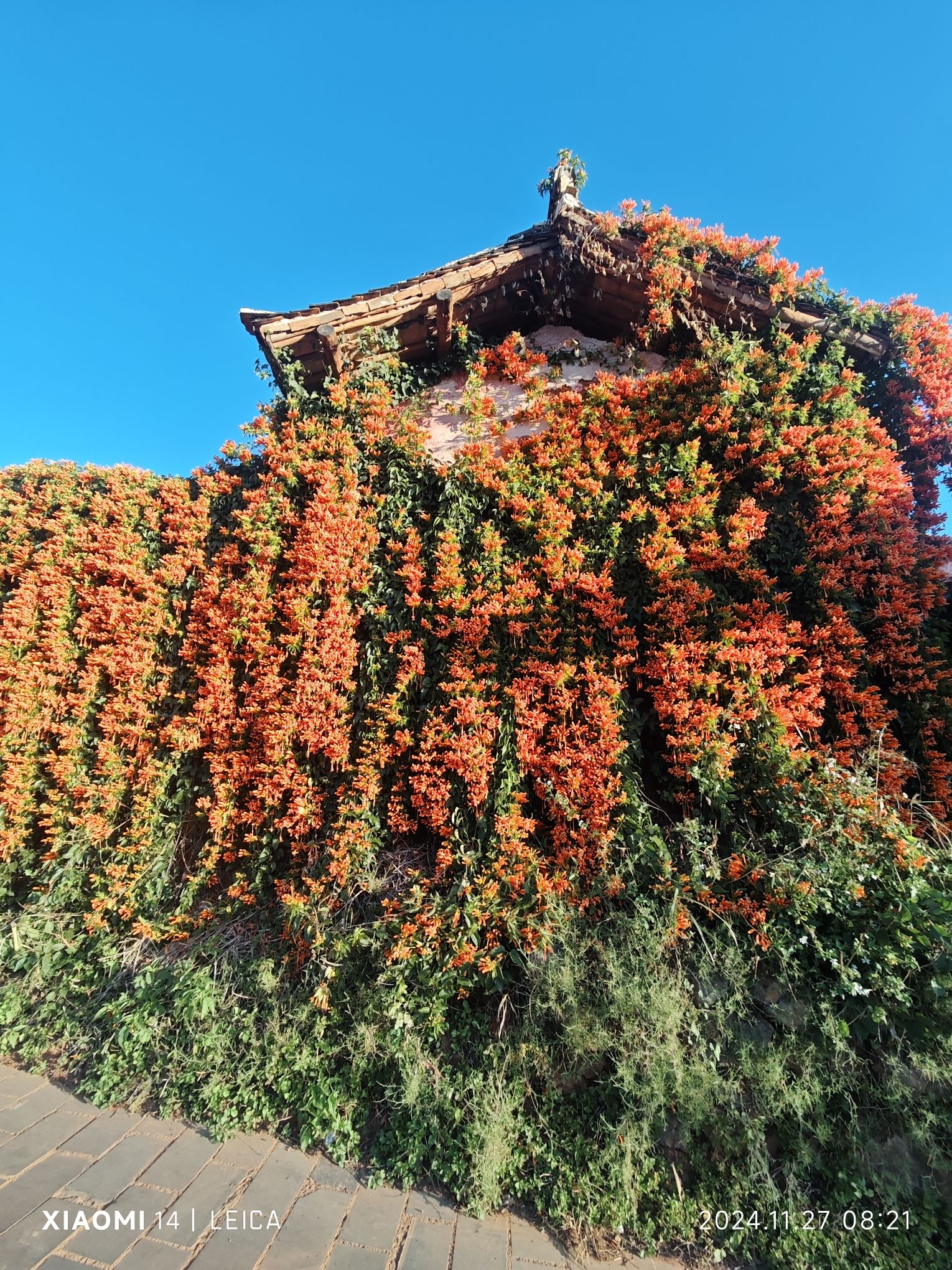 迤沙拉村史馆旅行图片 1
