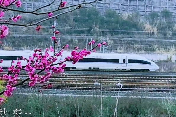 梅岭公园旅行图片 1