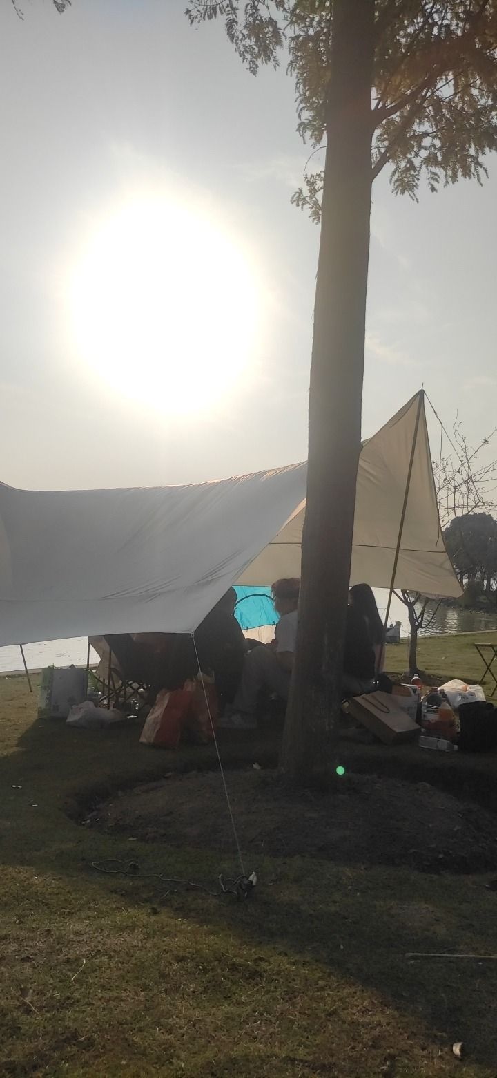太浦河白渔荡湿地旅行图片 3