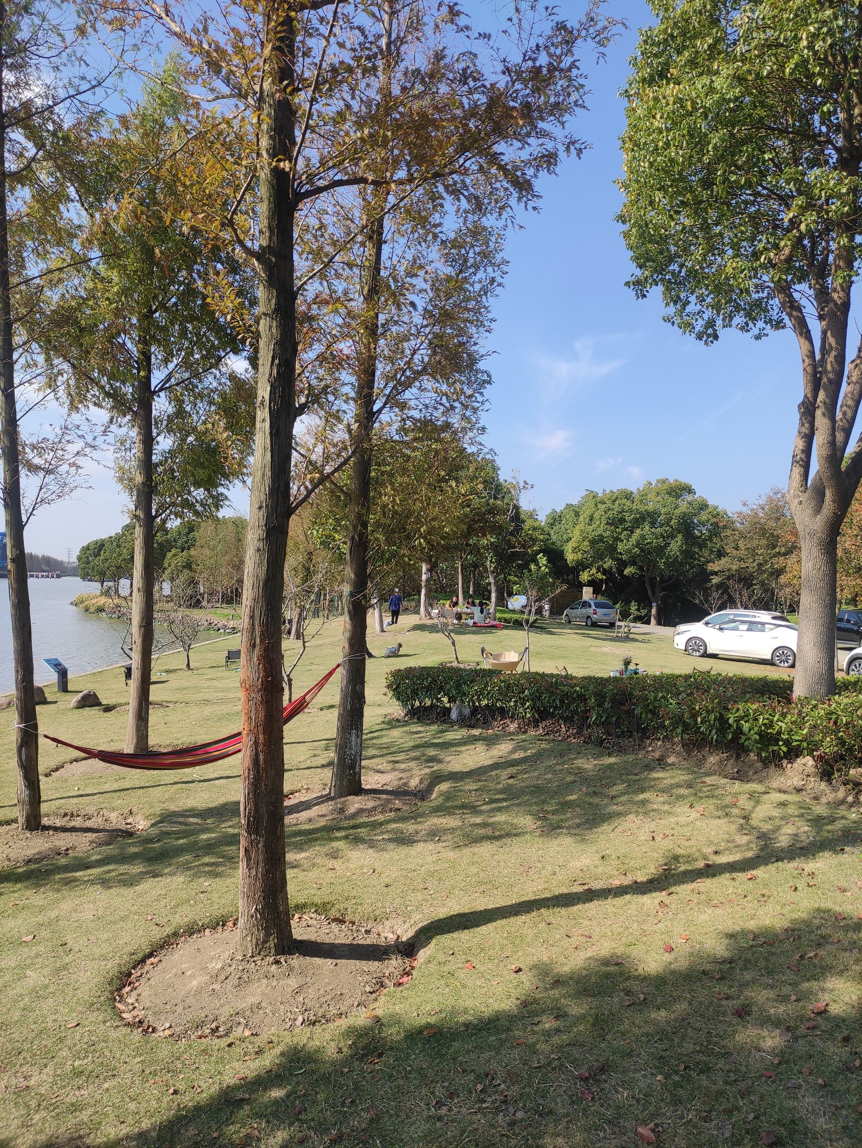 太浦河白渔荡湿地旅行图片 2