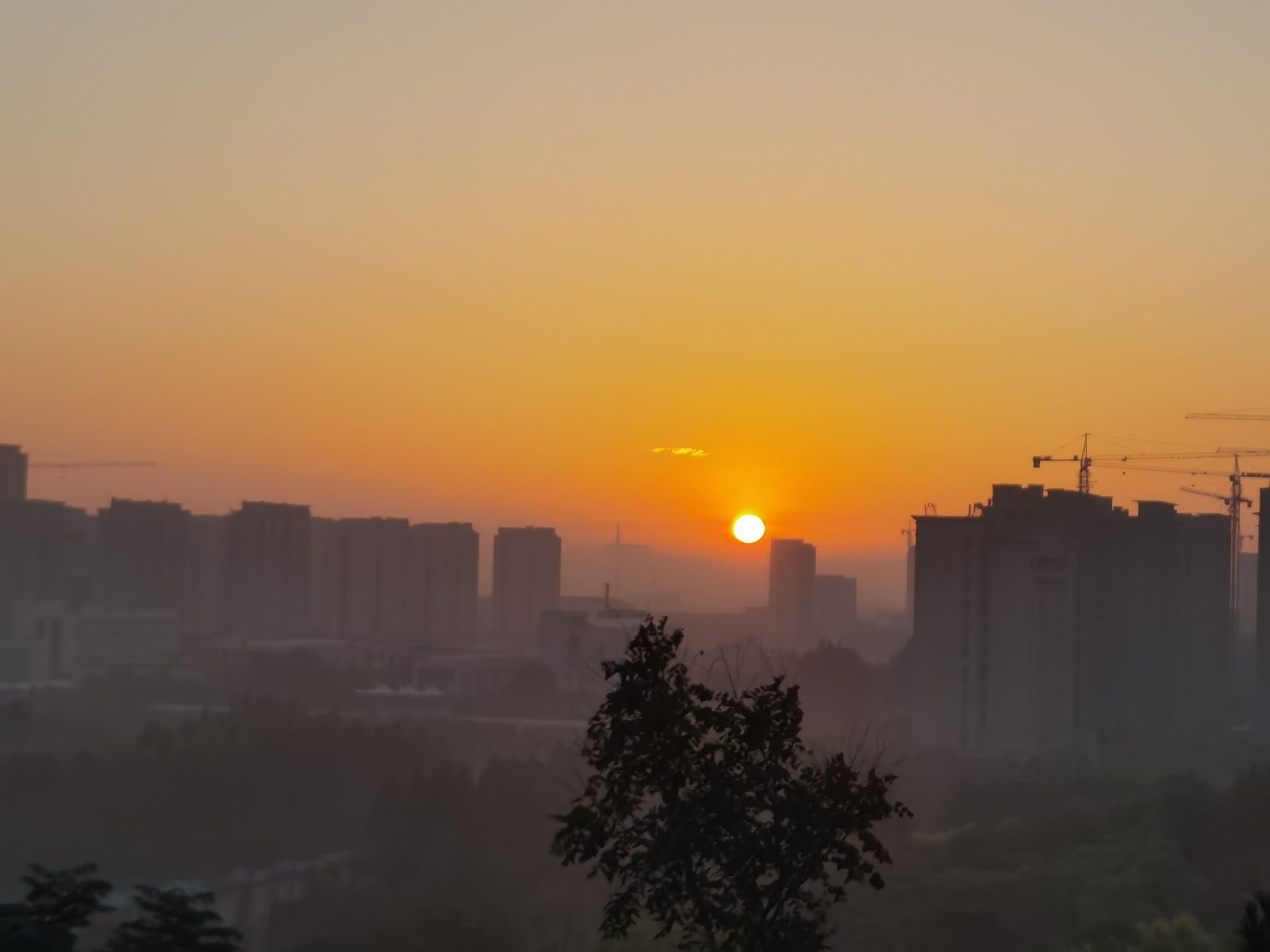 谷山公园旅行图片 1