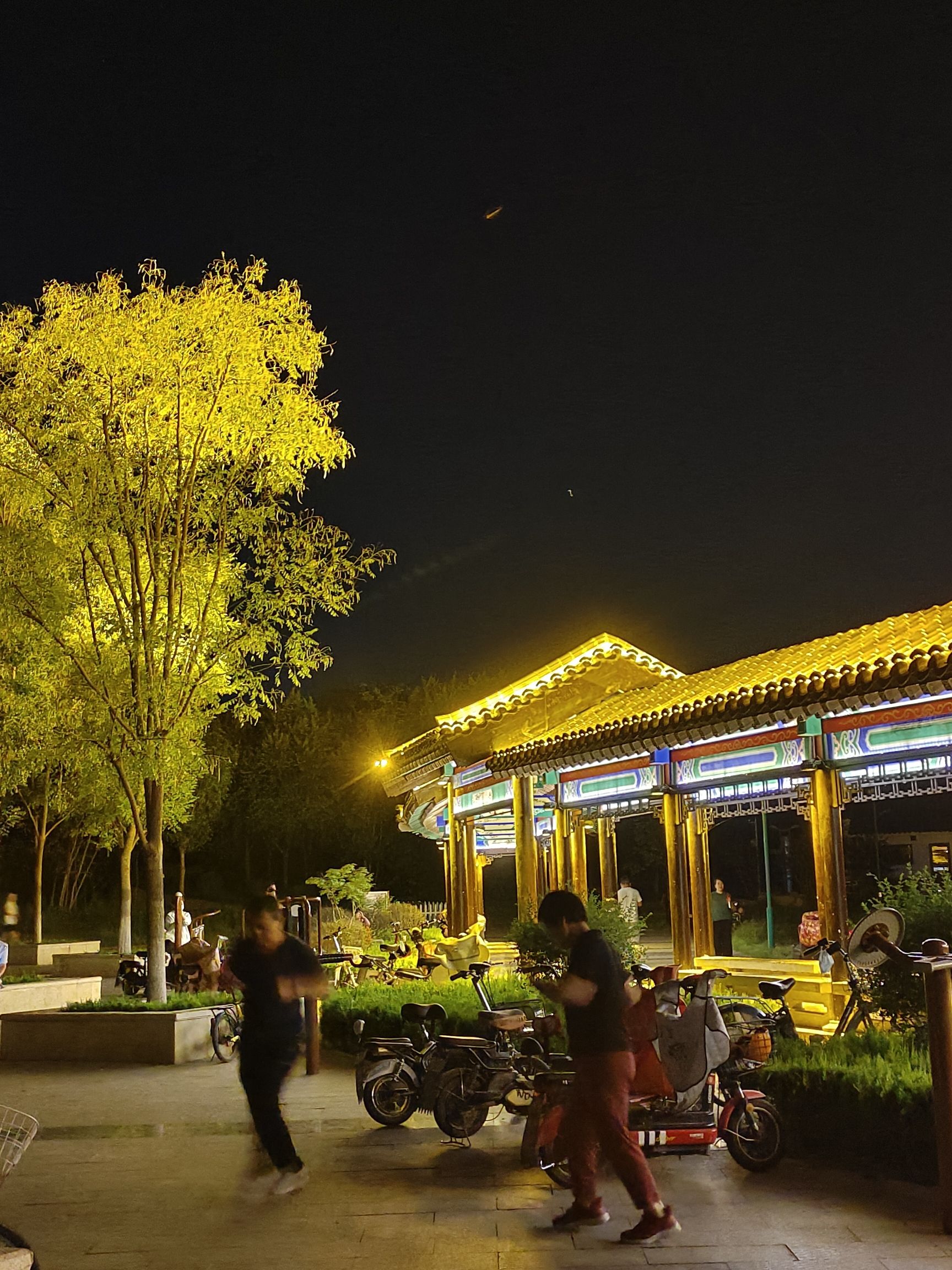 谷山公园旅行图片 3
