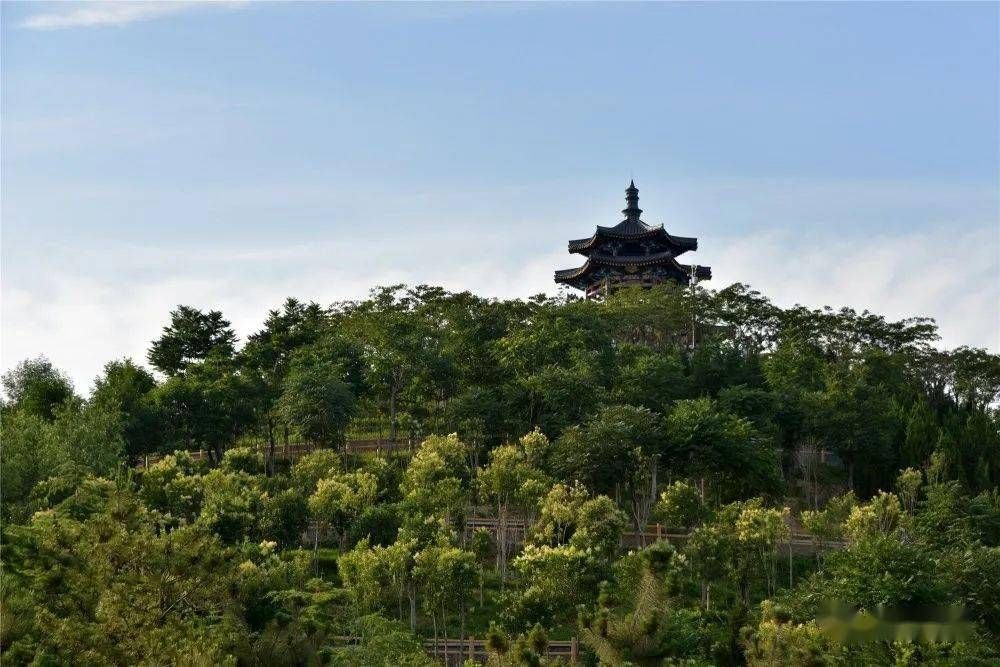 谷山公园旅行图片 2