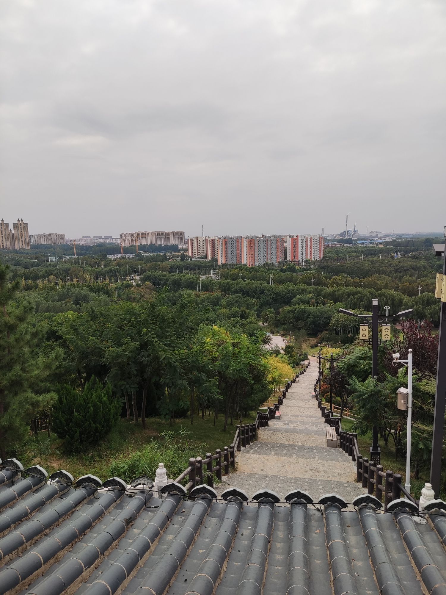 谷山公园旅行图片 3