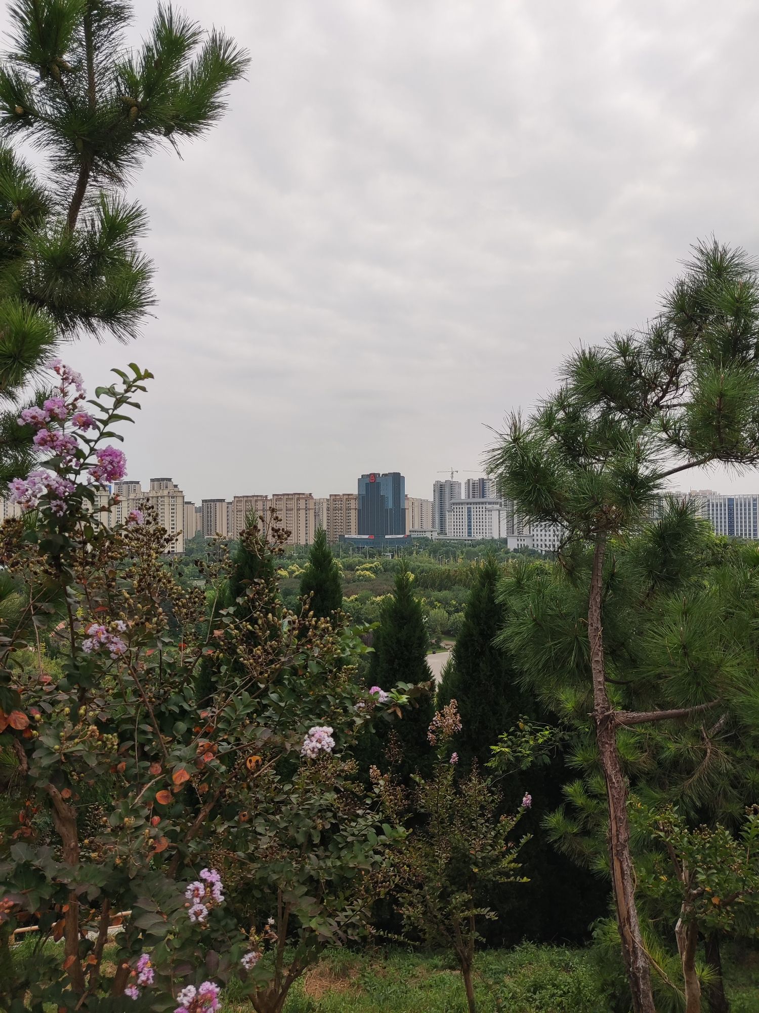 谷山公园旅行图片 2