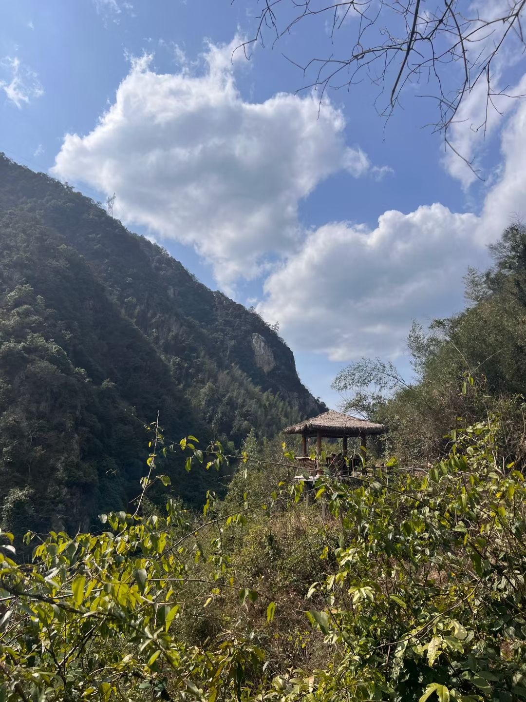 花园阁湿地公园旅行图片 2