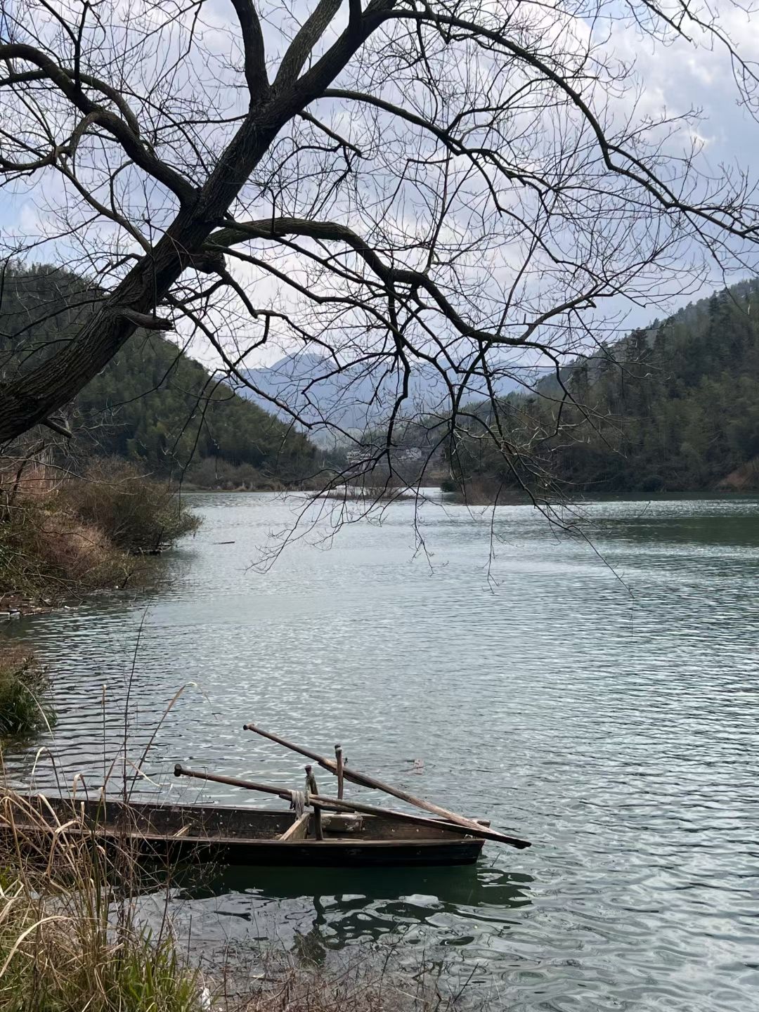 花园阁湿地公园旅行图片 1