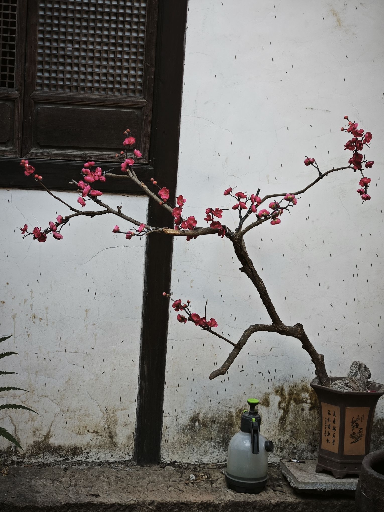 百廿间旅行图片 3